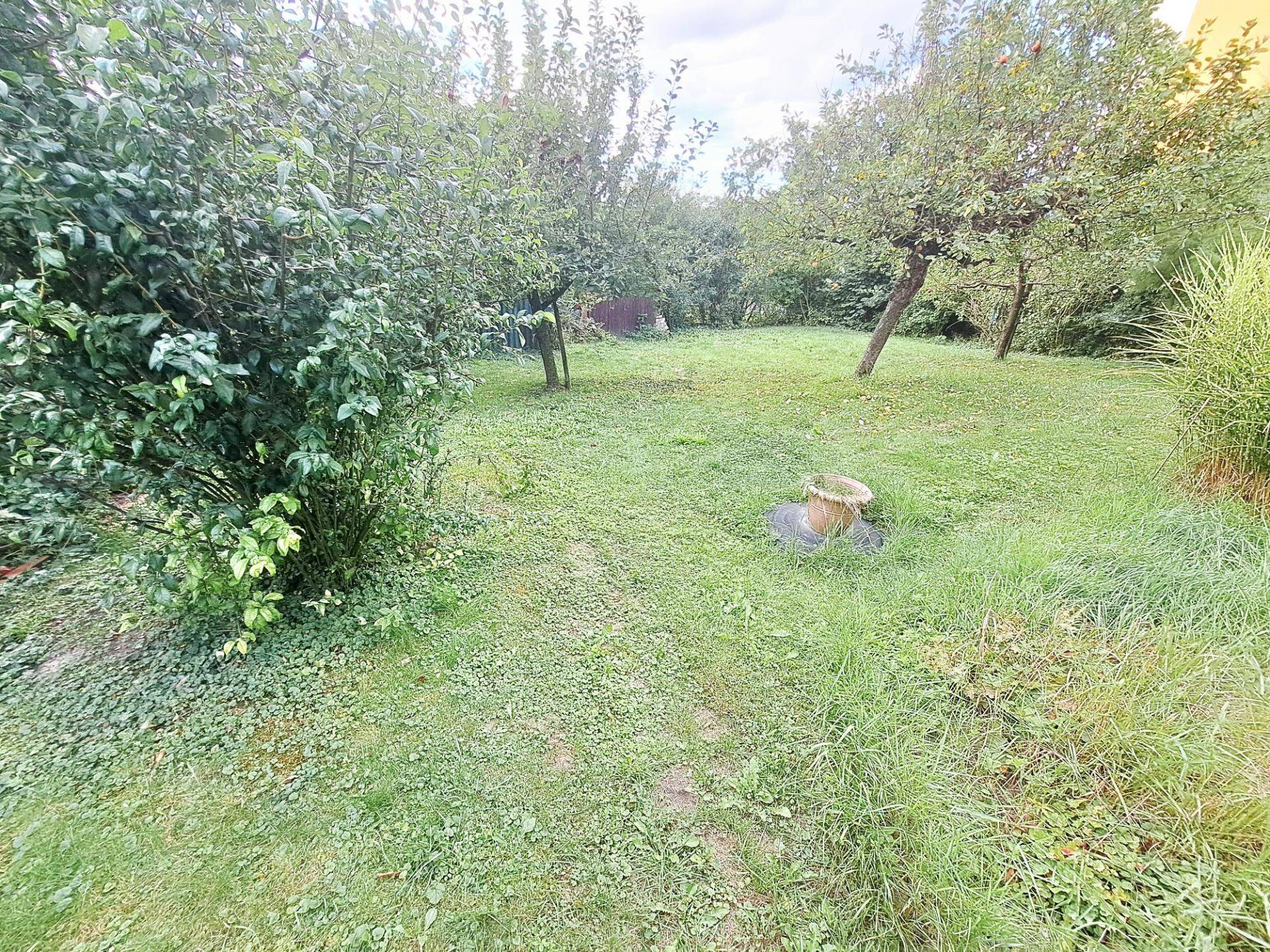 Garten II