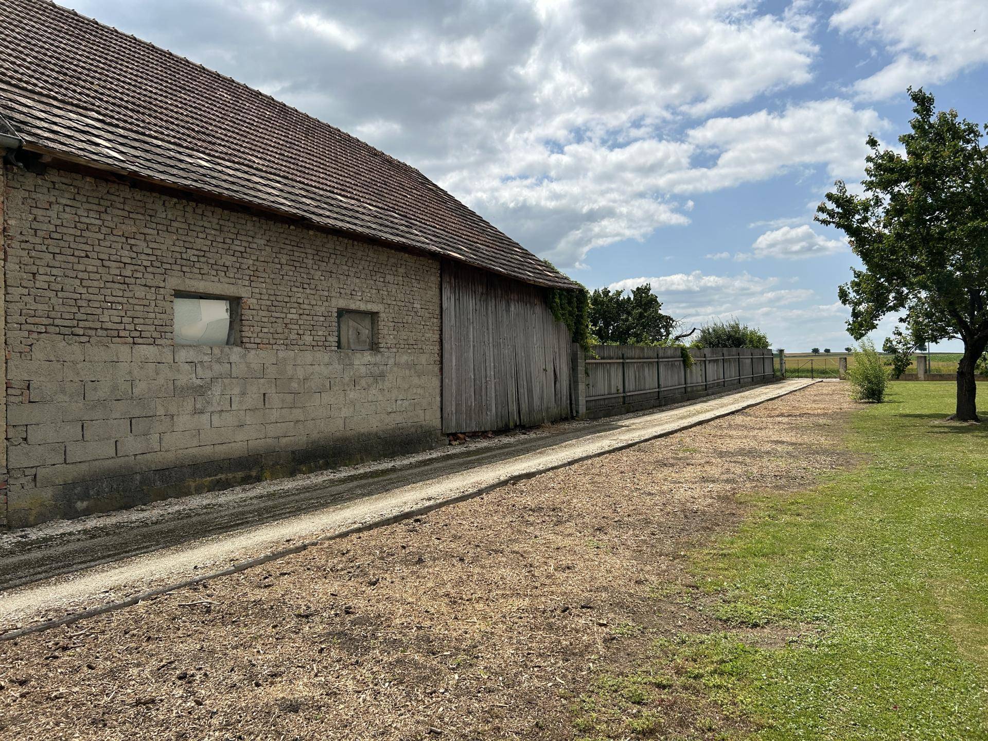 Garten Einfahrt Rückseite