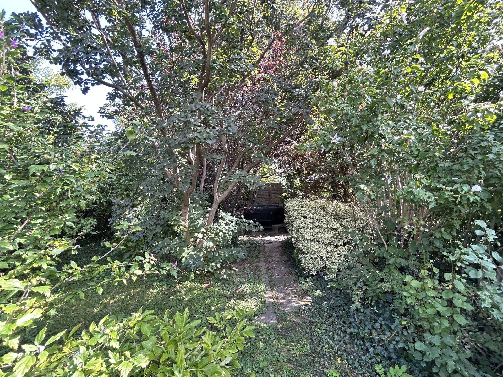Garten Ansicht IV