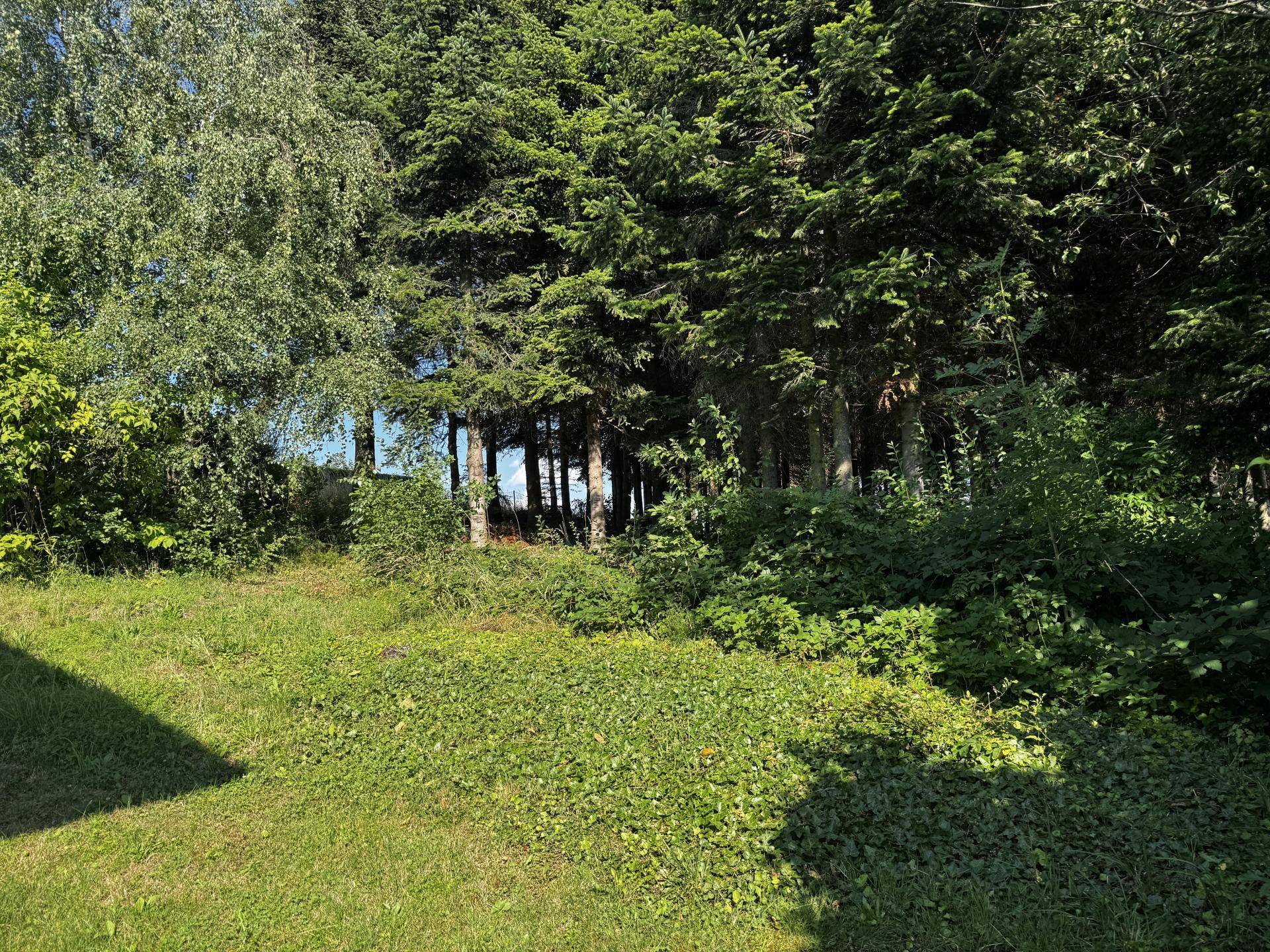Wald und Garten