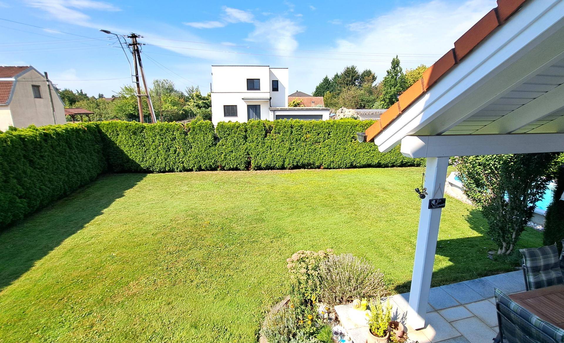 Blick in den Garten