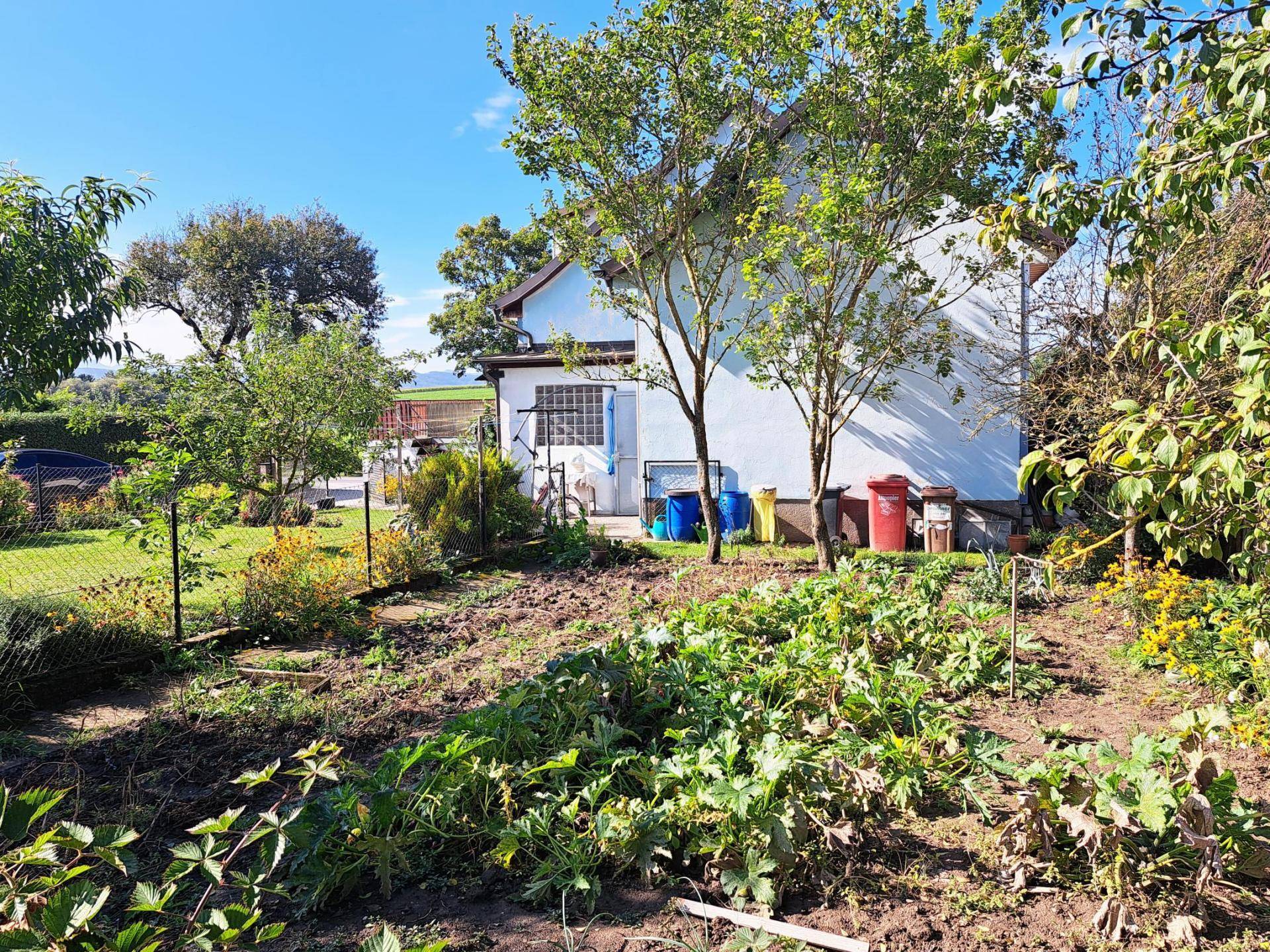 Garten III