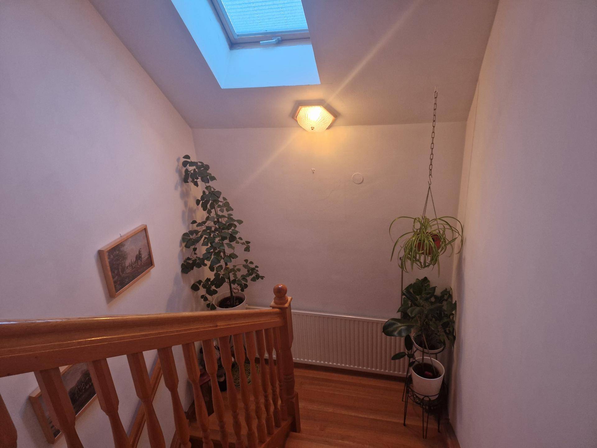 Ansicht11