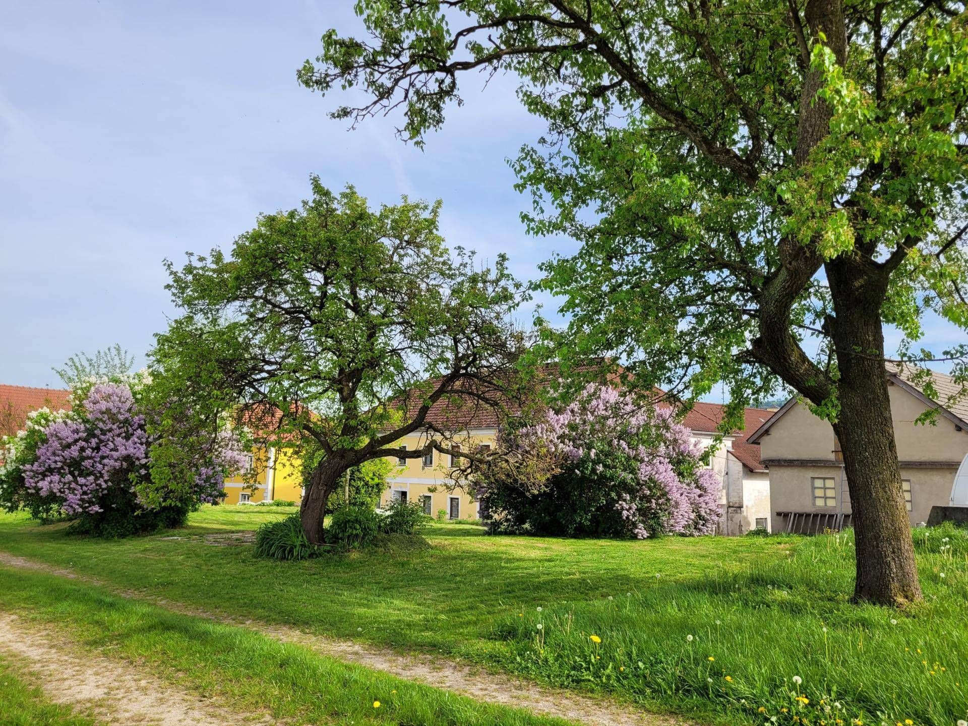 Ansicht Frühjahr