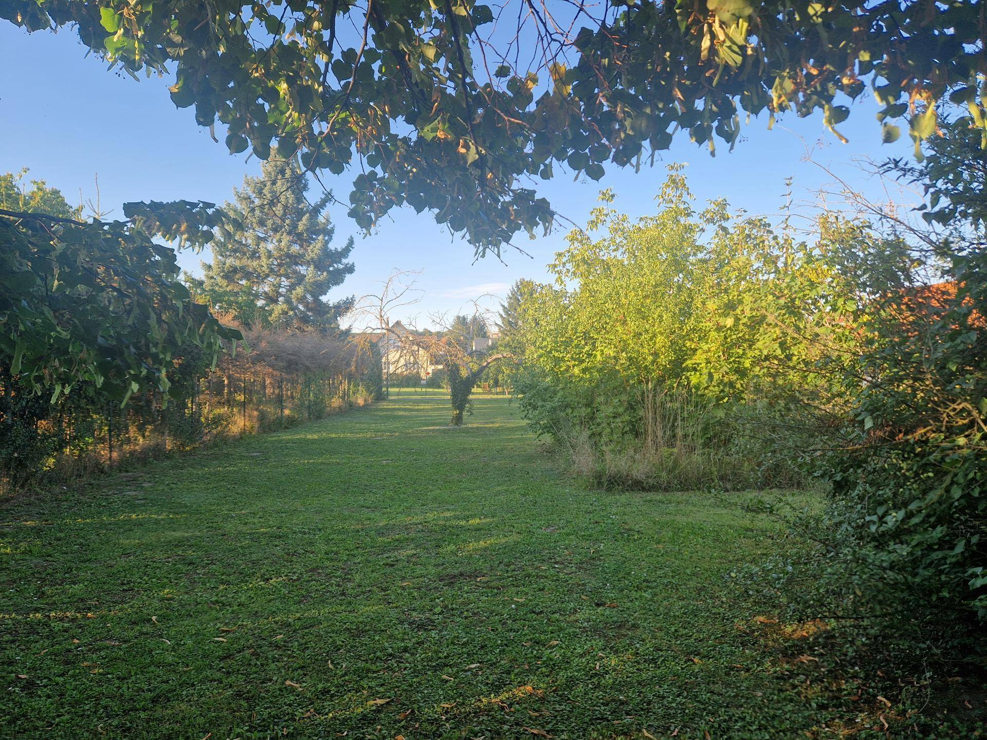 Ansicht5