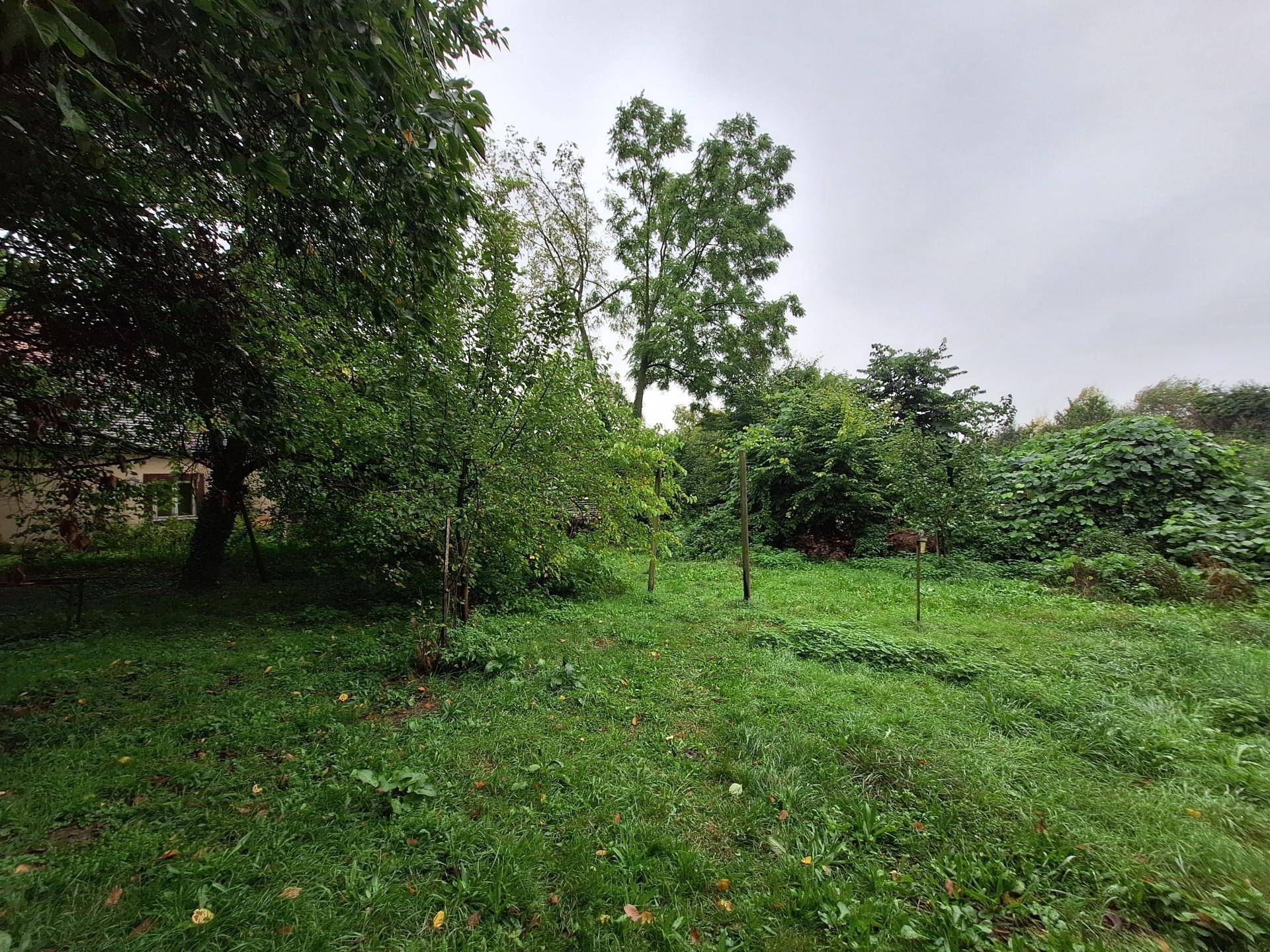 Garten 2