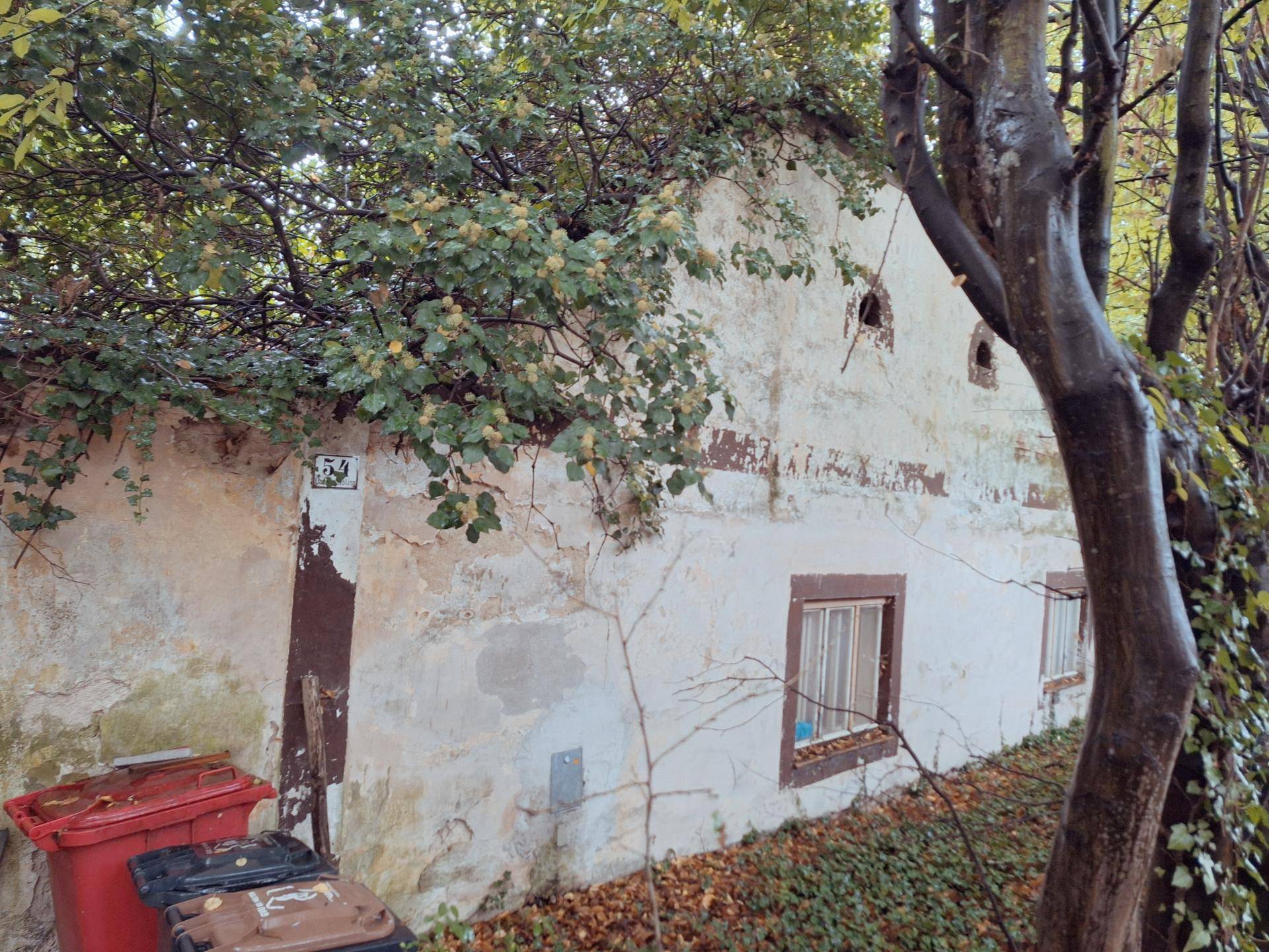 Haus