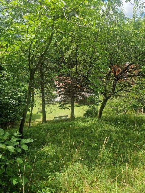 Ihr Wald