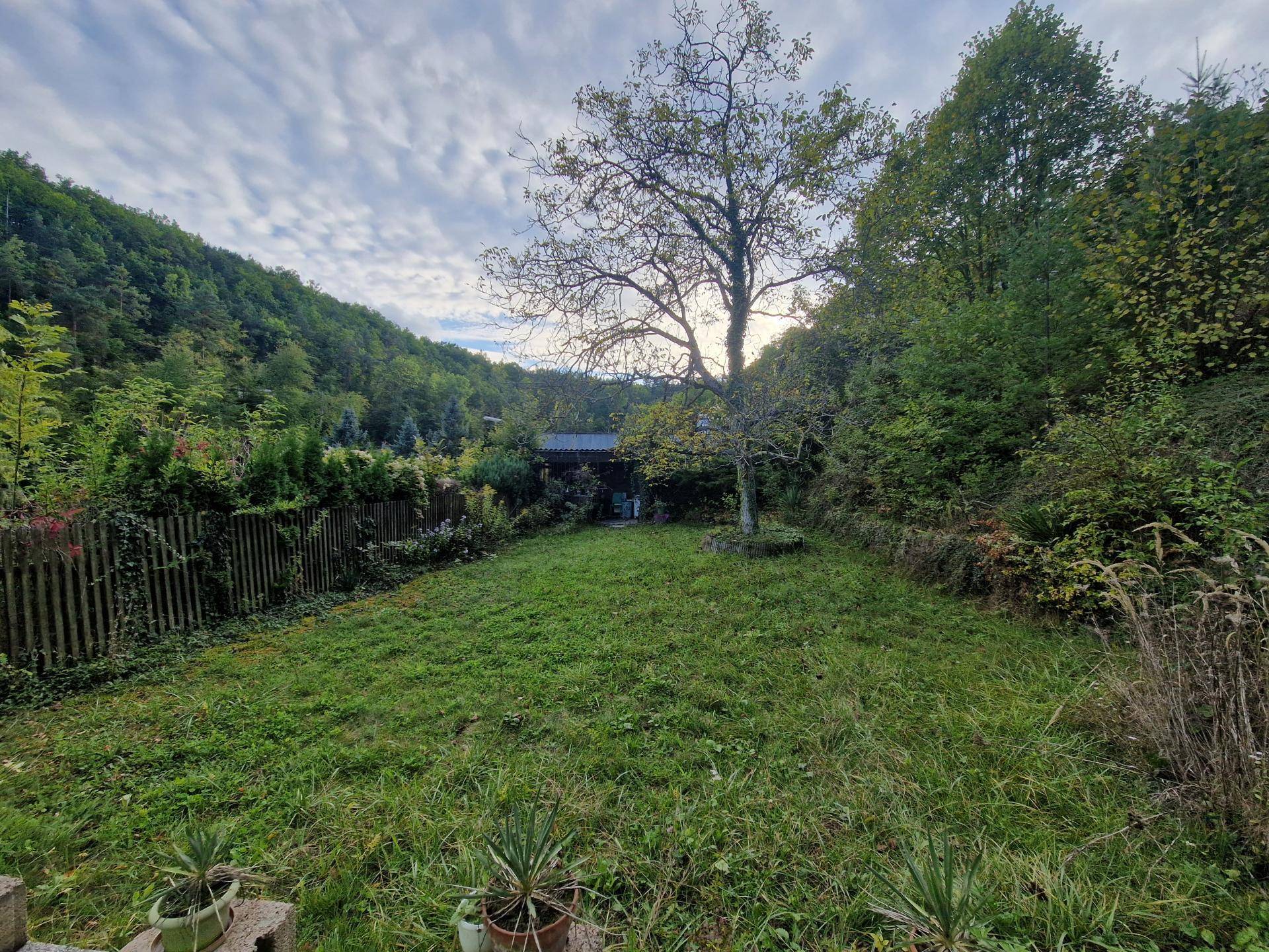 Garten1