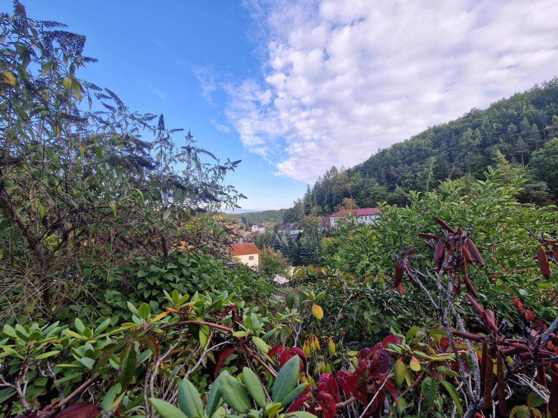 Ausblick3