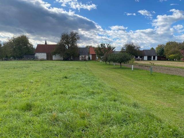 Weitläufige Wiesenlandschaft mit vereinzelten Bäumen und Gebäuden in der Ferne.