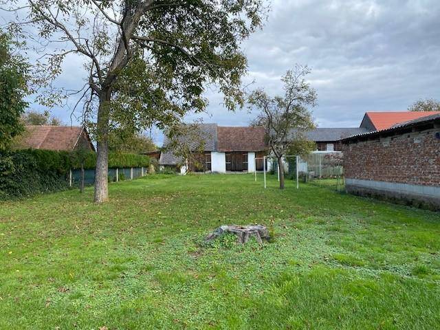 Großer, grüner Garten mit altem Baumbestand und Blick auf weitere Gebäude im Hintergrund.