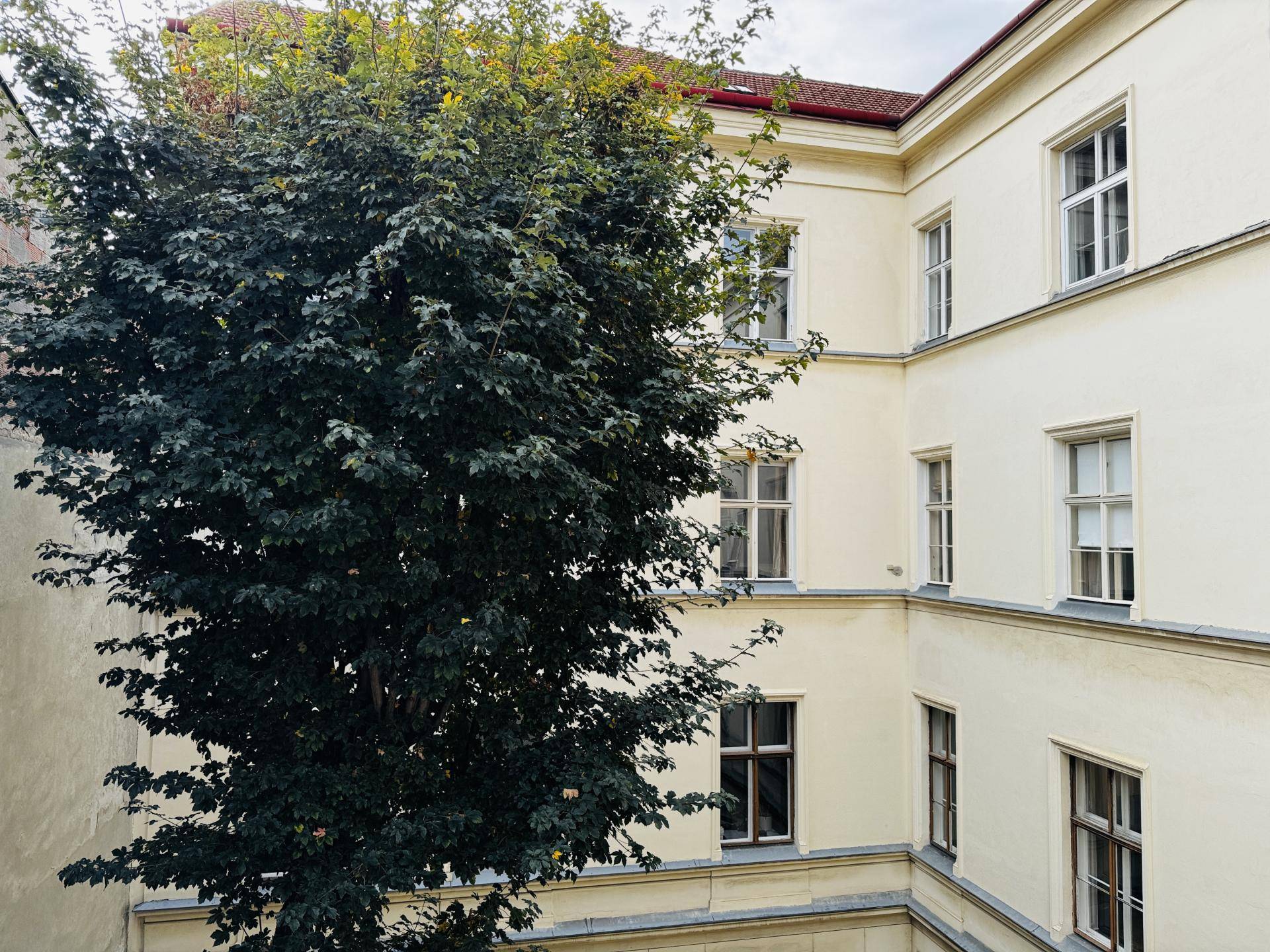 20251013_091041638_iOS