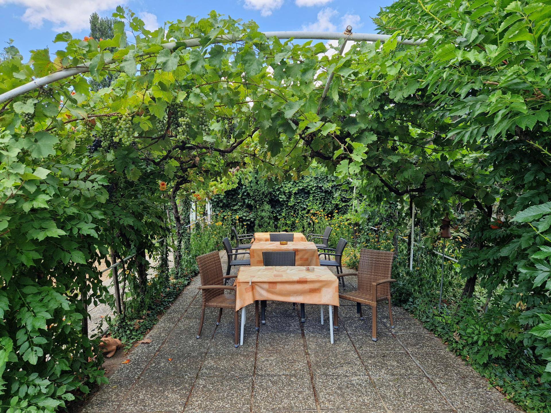Idyllischer Sitzbereich im Freien unter einer grünen Pergola mit Weinreben im Garten.