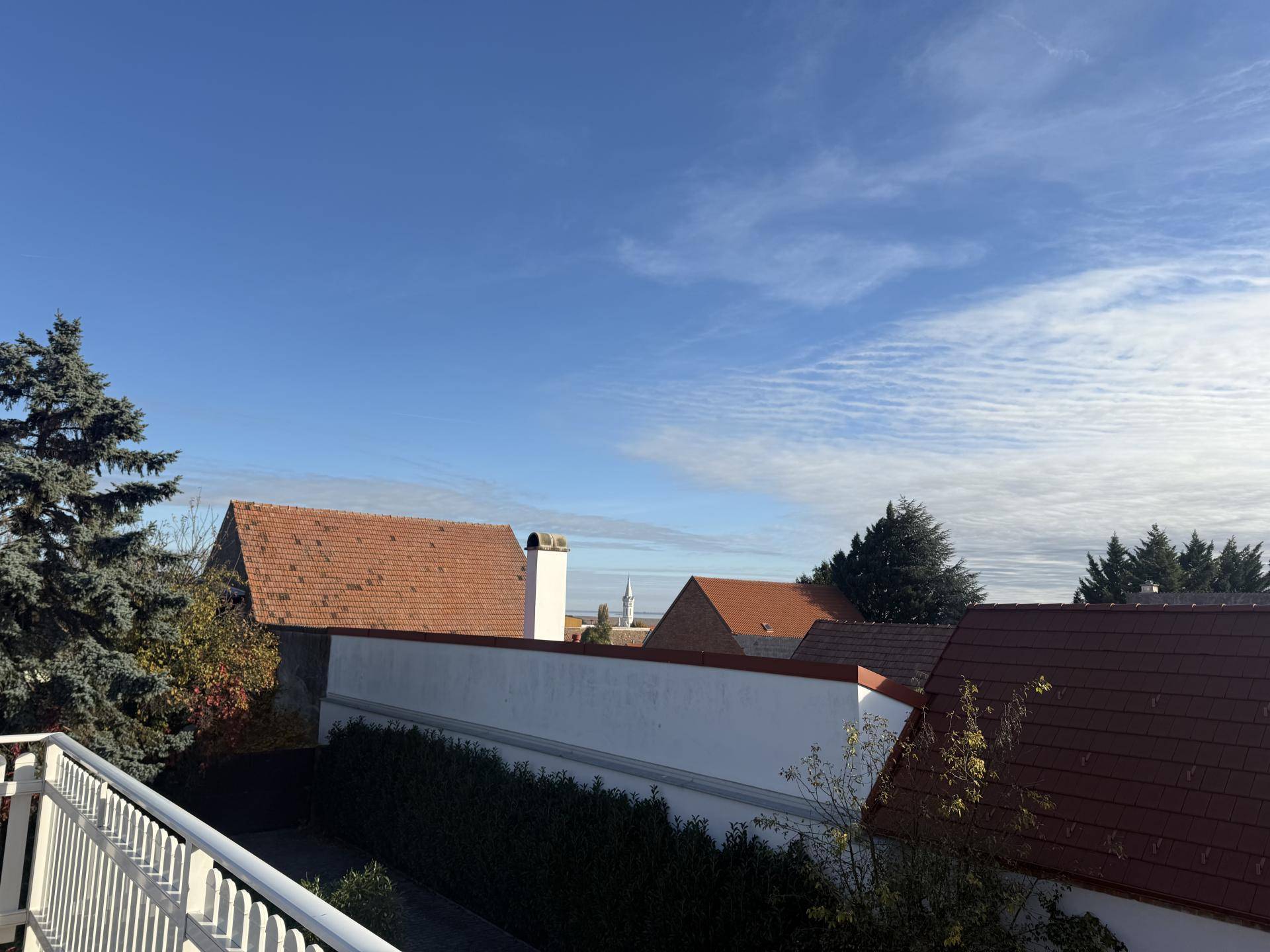 Weitläufiger Blick über Dächer und Bäume unter einem weiten, blauen Himmel.