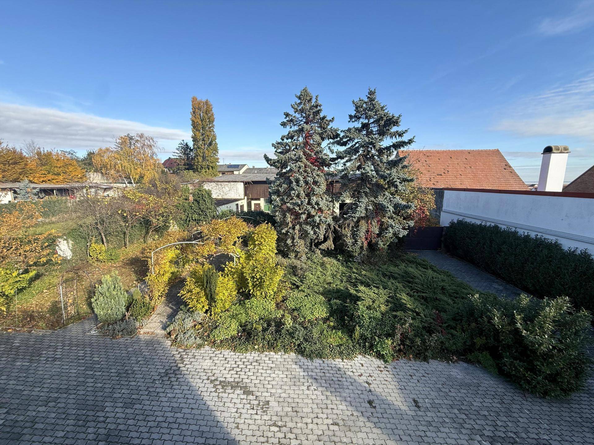 Gepflegter Gartenbereich mit verschiedenen Bäumen, Sträuchern und einer gepflasterten Fläche.