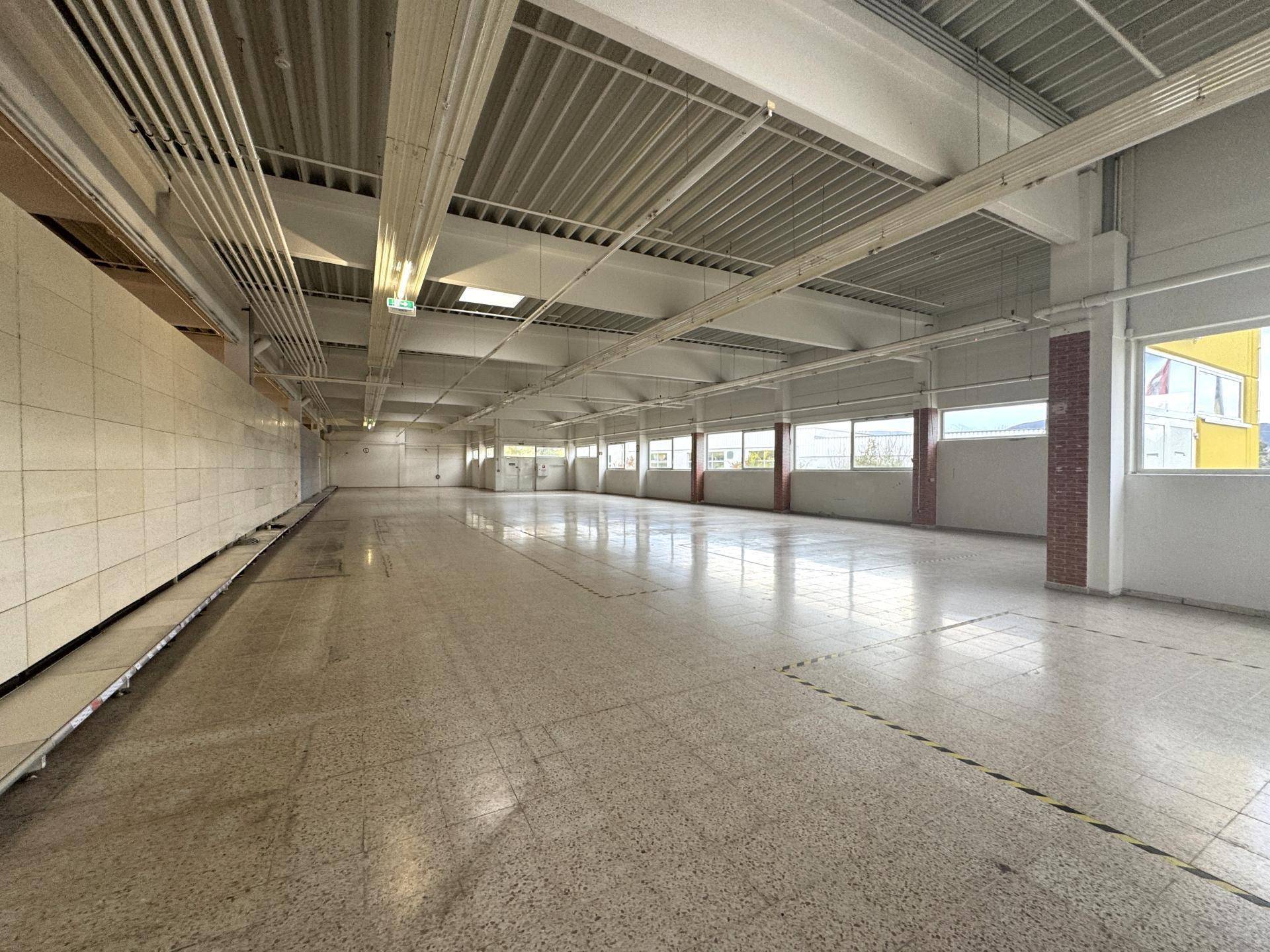 Weitläufiger Verkaufsraum mit hohen Decken, Fliesenboden und viel Tageslicht durch Fenster und Oberlichter.