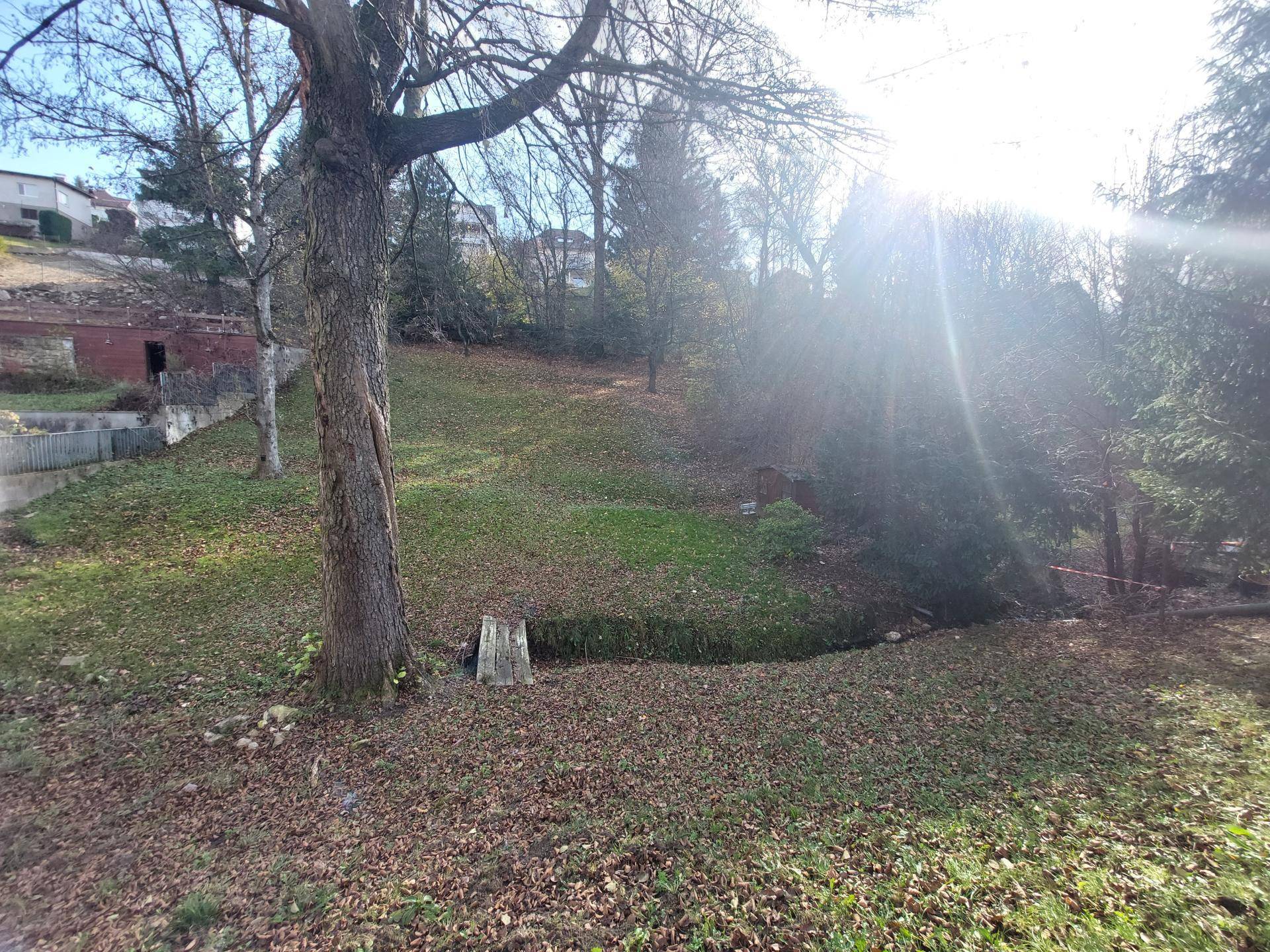 Naturbelassener Gartenbereich mit Bäumen und herbstlichem Laub auf dem Hanggrundstück.