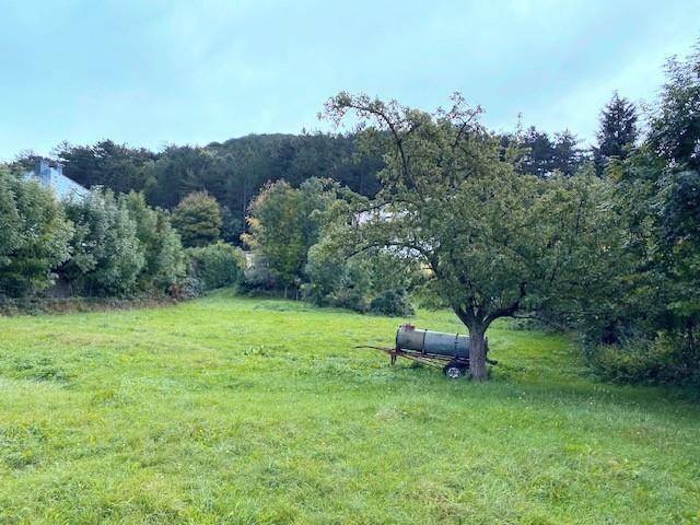 Idyllische Grünfläche mit altem Baum und einem landwirtschaftlichen Anhänger im Schatten.