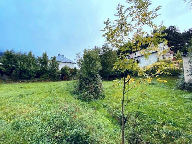 Großzügige Rasenfläche mit jungem Baum und Blick auf umliegende Häuser und Natur.
