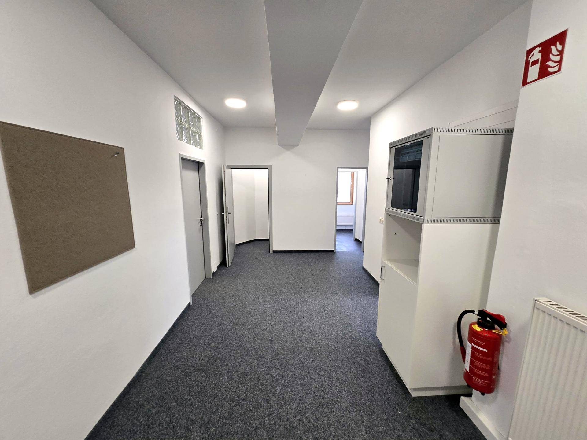 Langer Flur mit Teppichboden, weißen Wänden und mehreren Türen, der zu verschiedenen Räumen führt.