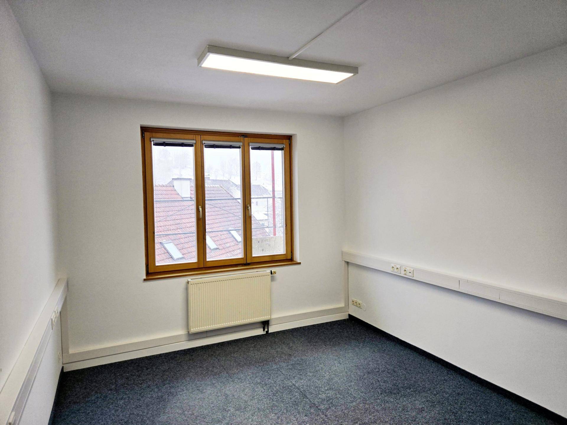 Heller Büroraum mit Teppichboden, weißen Wänden und einem großen Fenster mit Blick auf Dächer.