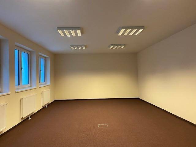 Leerer, heller Raum mit mehreren Fenstern, Heizkörpern und einem braunen Teppichboden, ideal für verschiedene Nutzungen.