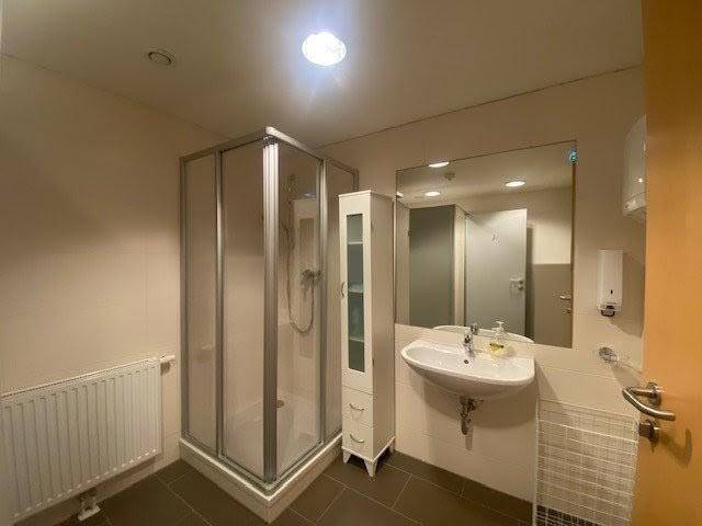 Modernes Badezimmer mit Duschkabine, Waschbecken und Heizkörper, ausgestattet mit Fliesenboden.