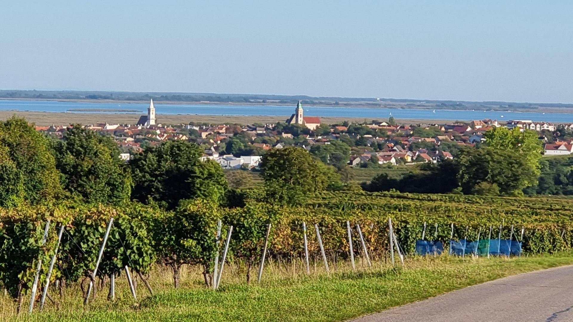 Malerischer Blick auf ein Dorf am Seeufer mit Weinbergen im Vordergrund unter klarem Himmel.
