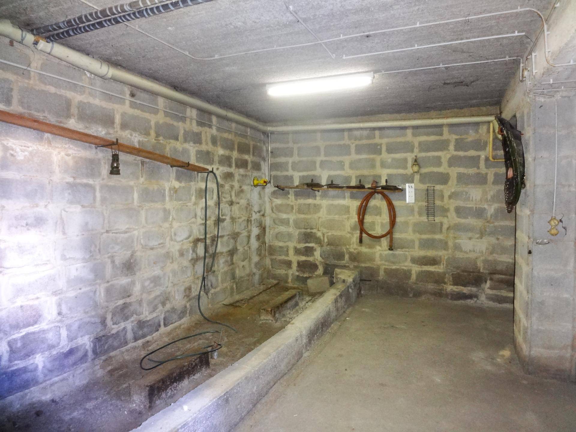 Kellerraum mit Betonwänden, Waschbecken und einfacher Beleuchtung.
