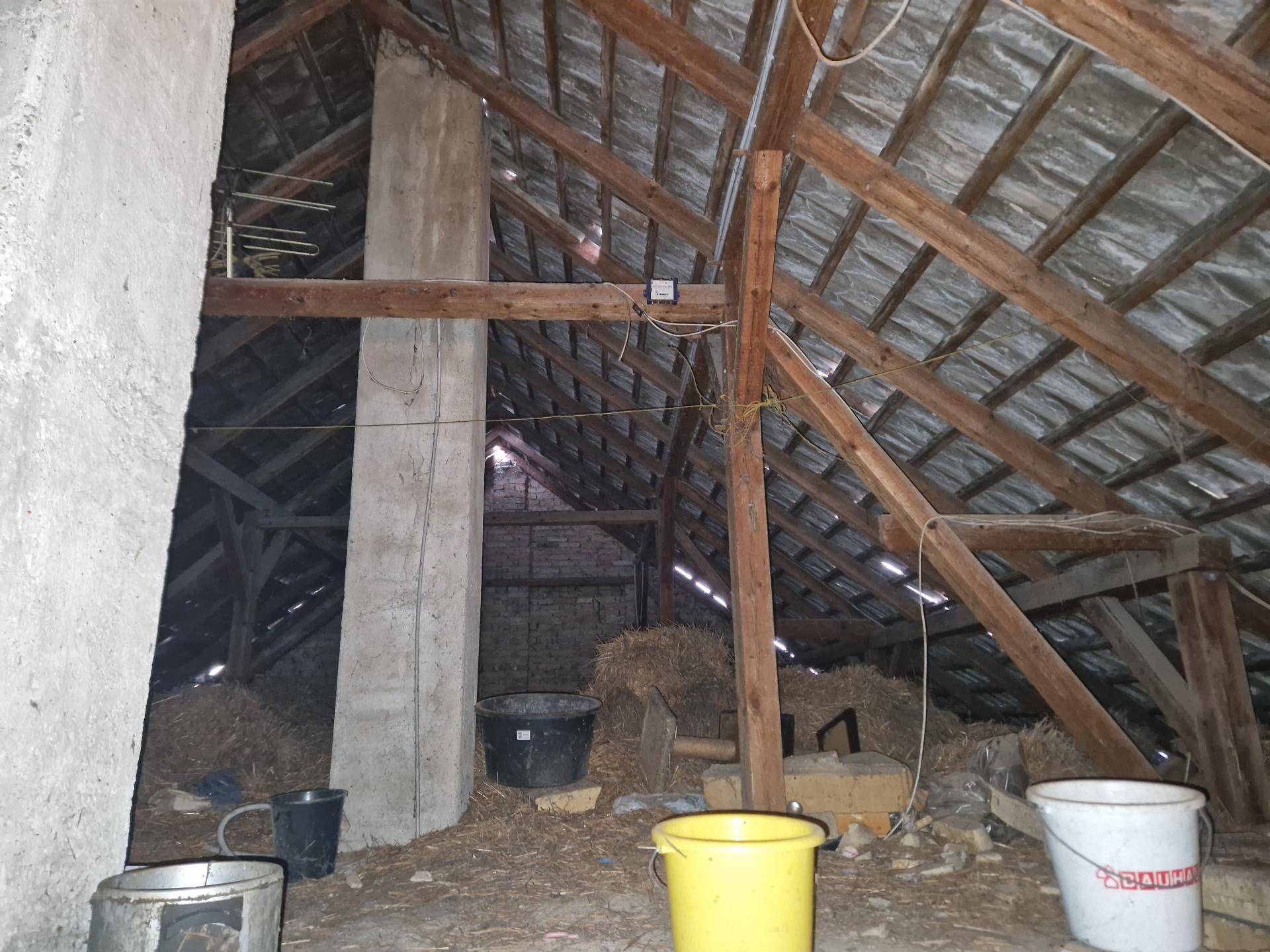 Dachboden mit sichtbarer Holzkonstruktion und Lagerflächen, ideal für einen zukünftigen Ausbau.