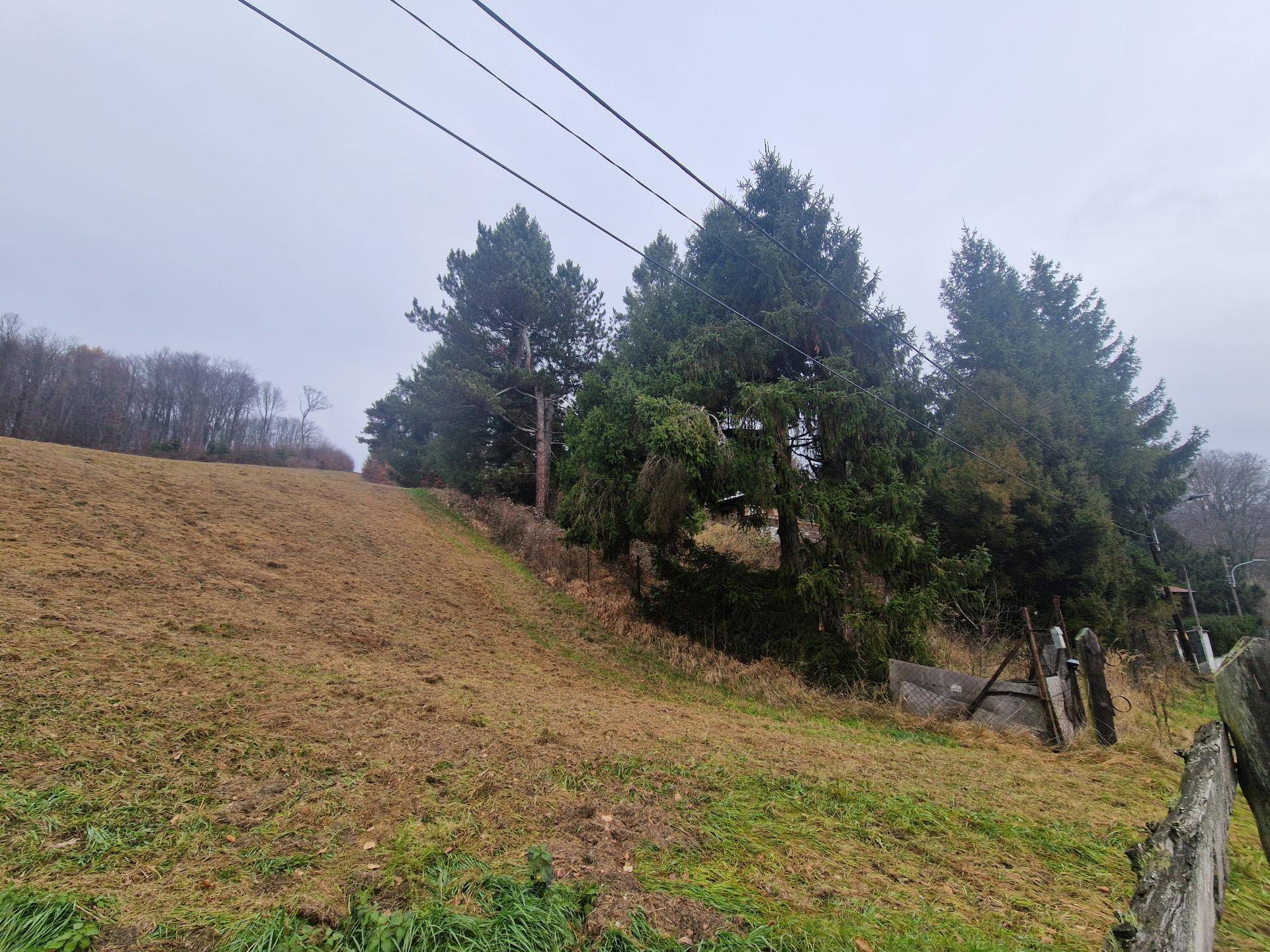Weitläufiges, leicht abfallendes Wiesengrundstück mit Baumreihe und Stromleitungen am Horizont.