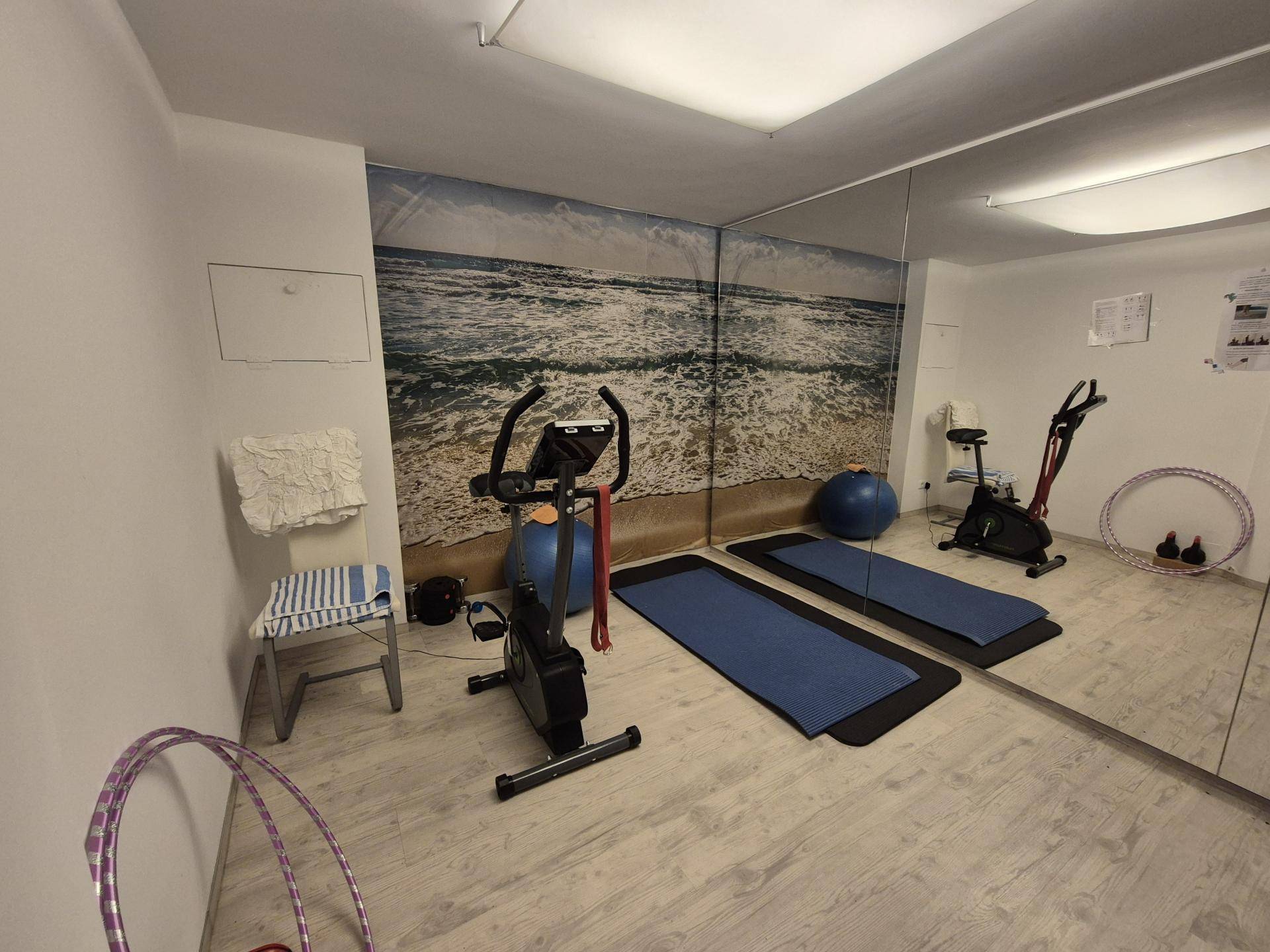 Fitnessraum mit Spiegelwand, Trainingsgeräten und Holzboden.