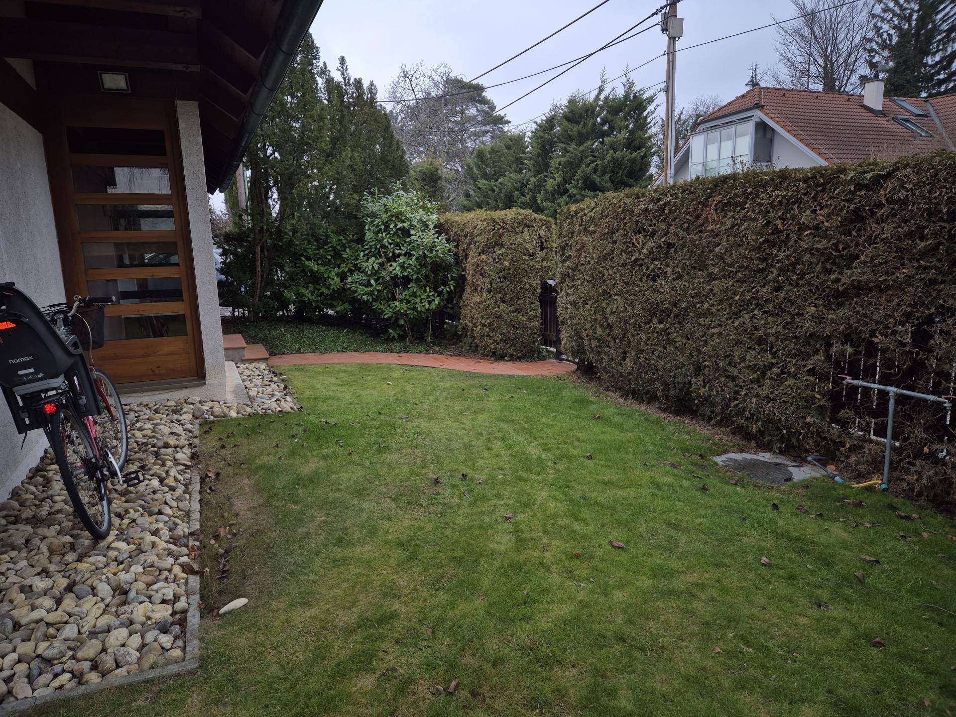 Vorgarten mit Rasenfläche, Kiesweg und hoher Hecke, die das Grundstück begrenzt.