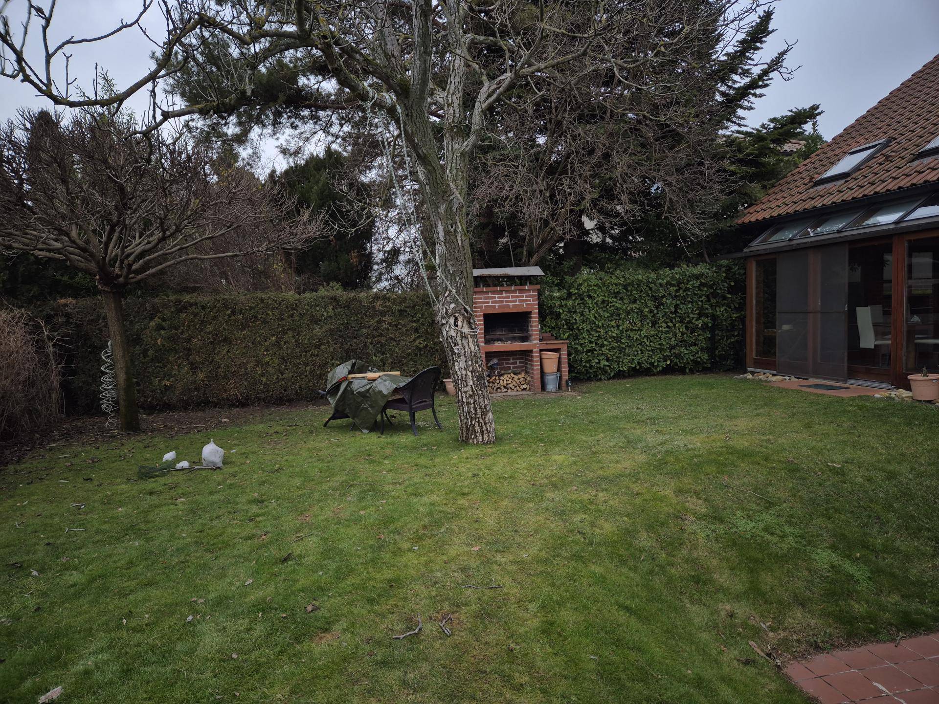 Gartenbereich mit Rasenfläche, gemauertem Grill und Holzstapel unter einem Baum.