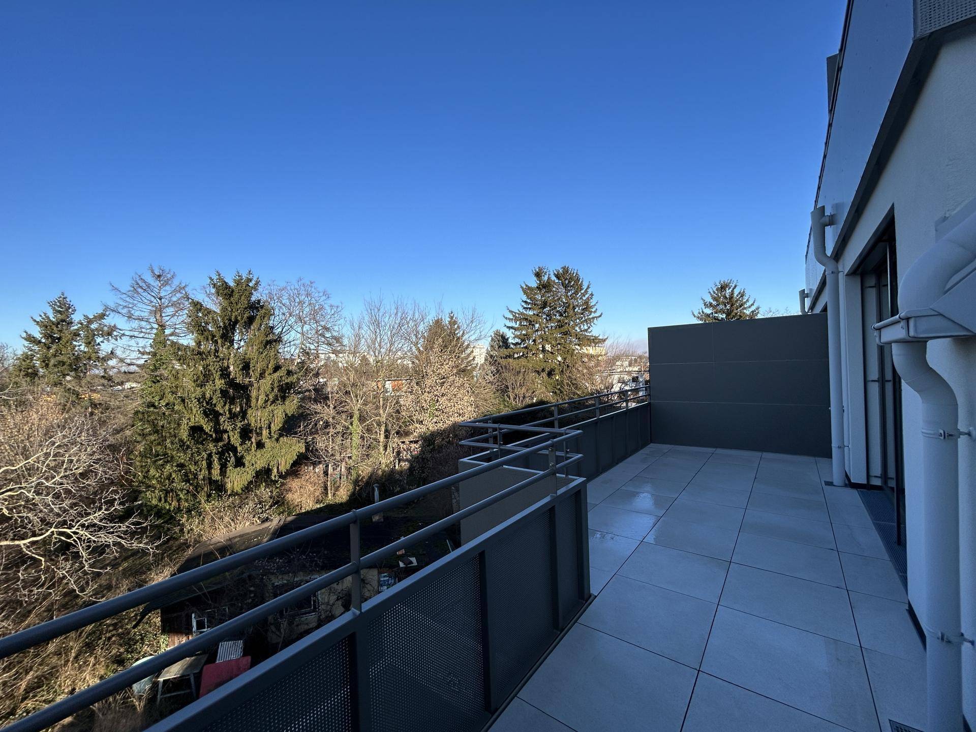 Weitläufige Terrasse mit Blick auf Bäume und die Umgebung, ideal für Entspannung im Freien.