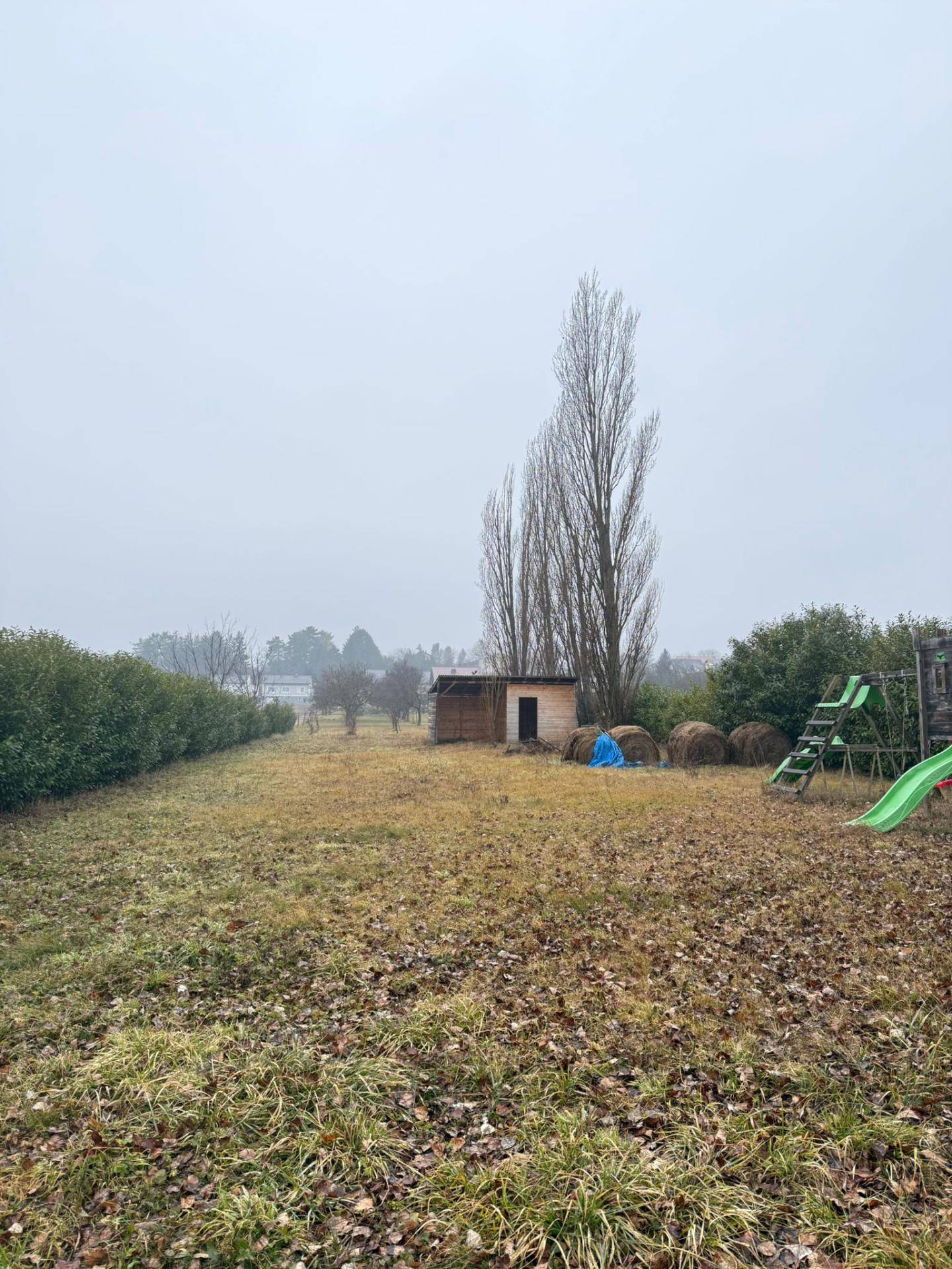 Weitläufiger Gartenbereich mit Rasen, einem kleinen Schuppen und einem Spielplatz im Hintergrund.