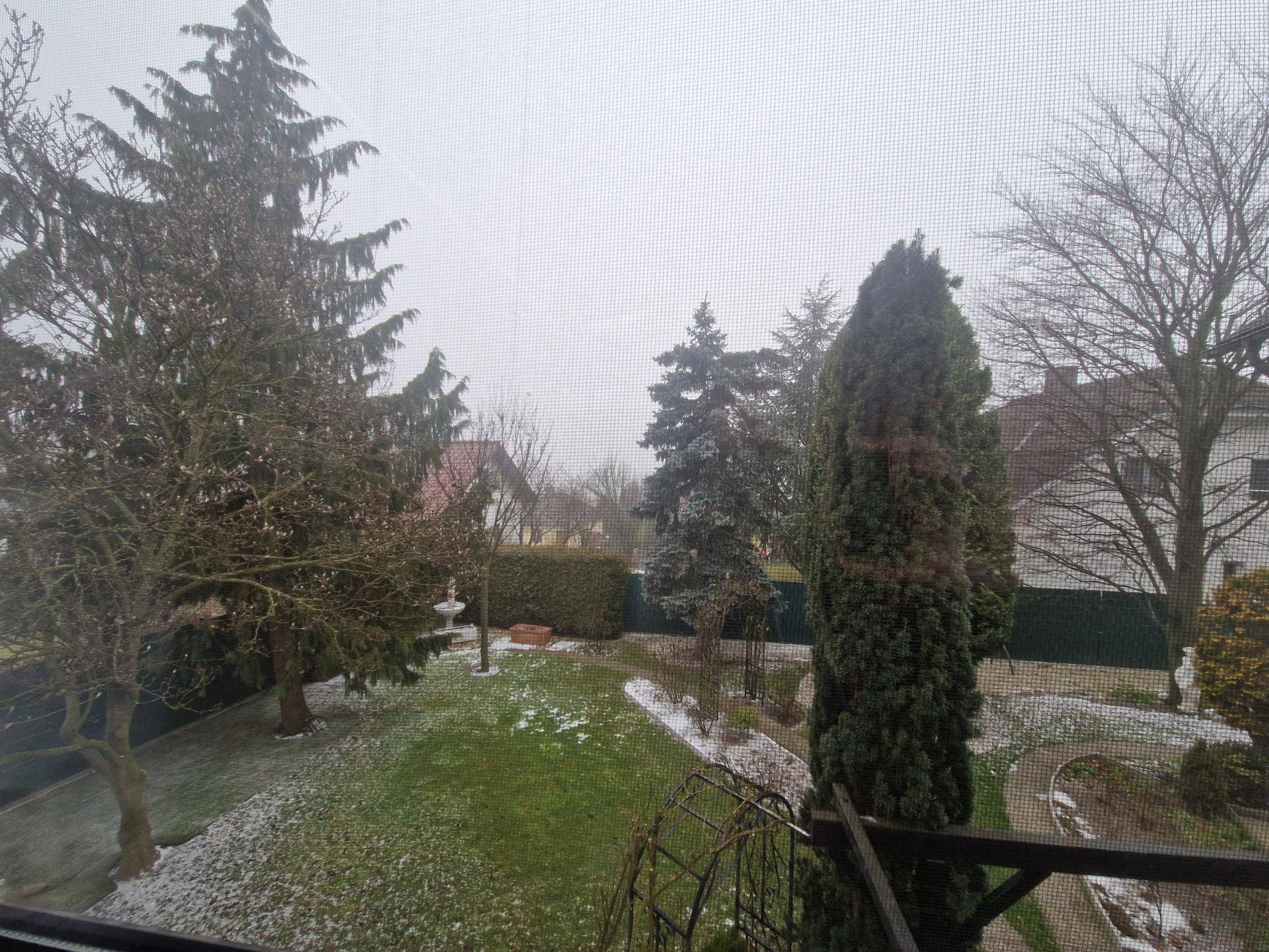 Blick aus dem Fenster auf den verschneiten Garten mit hohen Bäumen und Hecken.