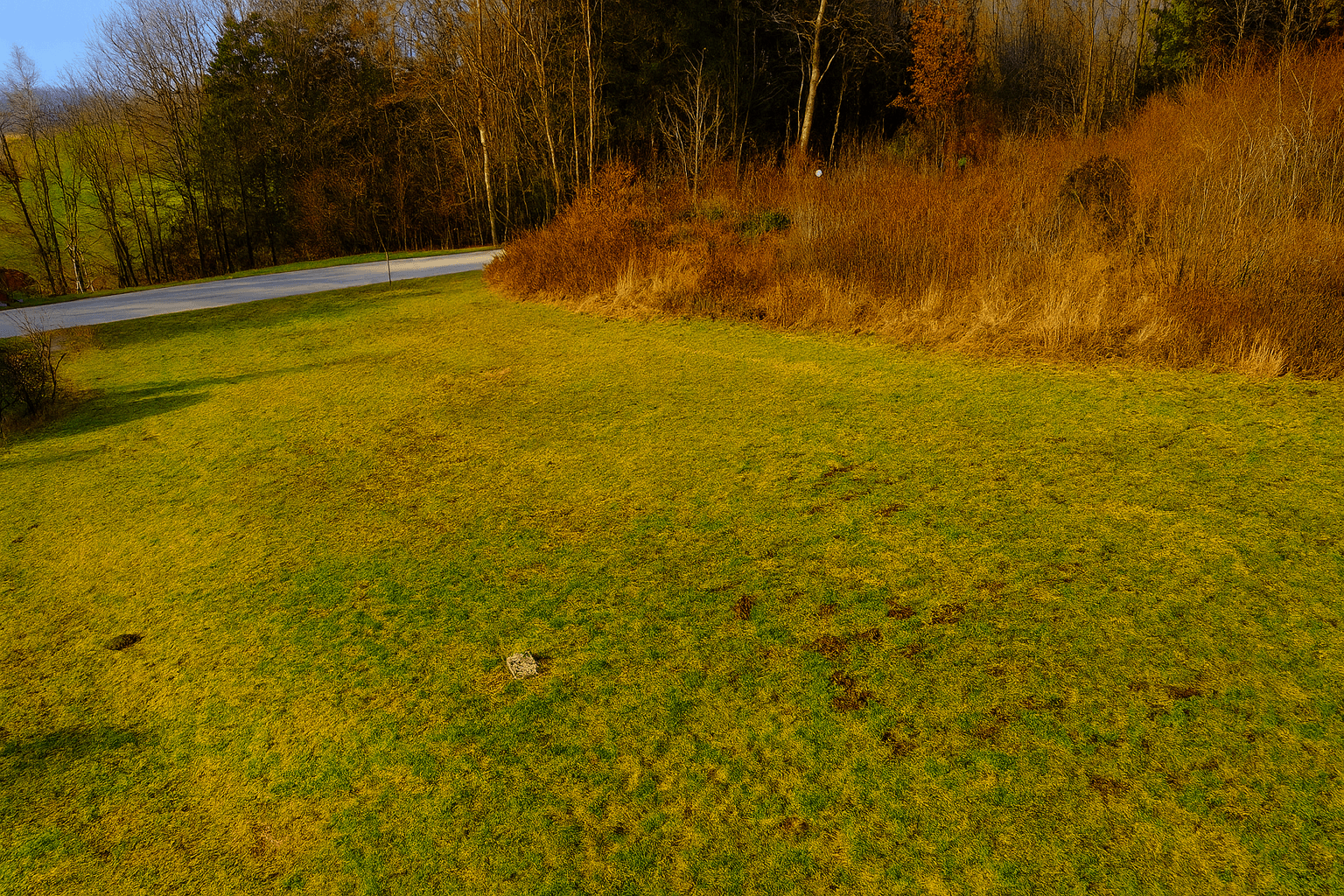 Weitläufige grüne Wiese mit trockenen Büschen und Bäumen, einer Straße und Wald im Hintergrund bei Sonnenuntergang.