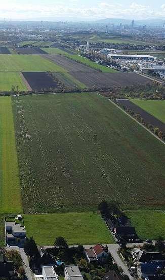 Sonniger Baugrund in Kapellerfeld Nähe Stadtgrenze Wien - Ansicht 4