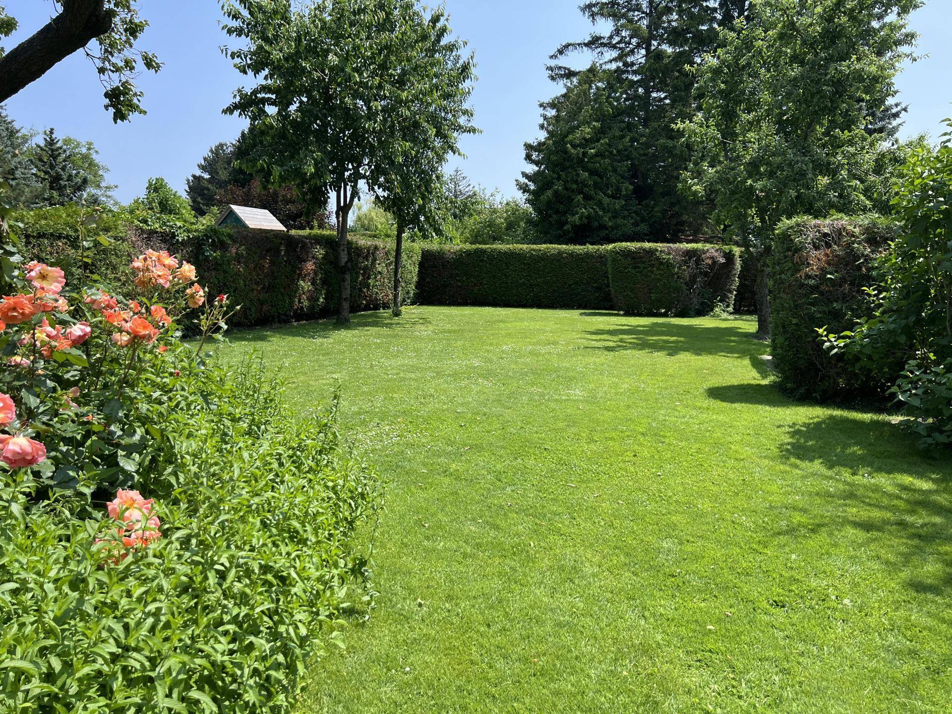 Idyllischer Ferienbungalow auf Pachtgrundstück beim Neufeldersee - Ansicht 2
