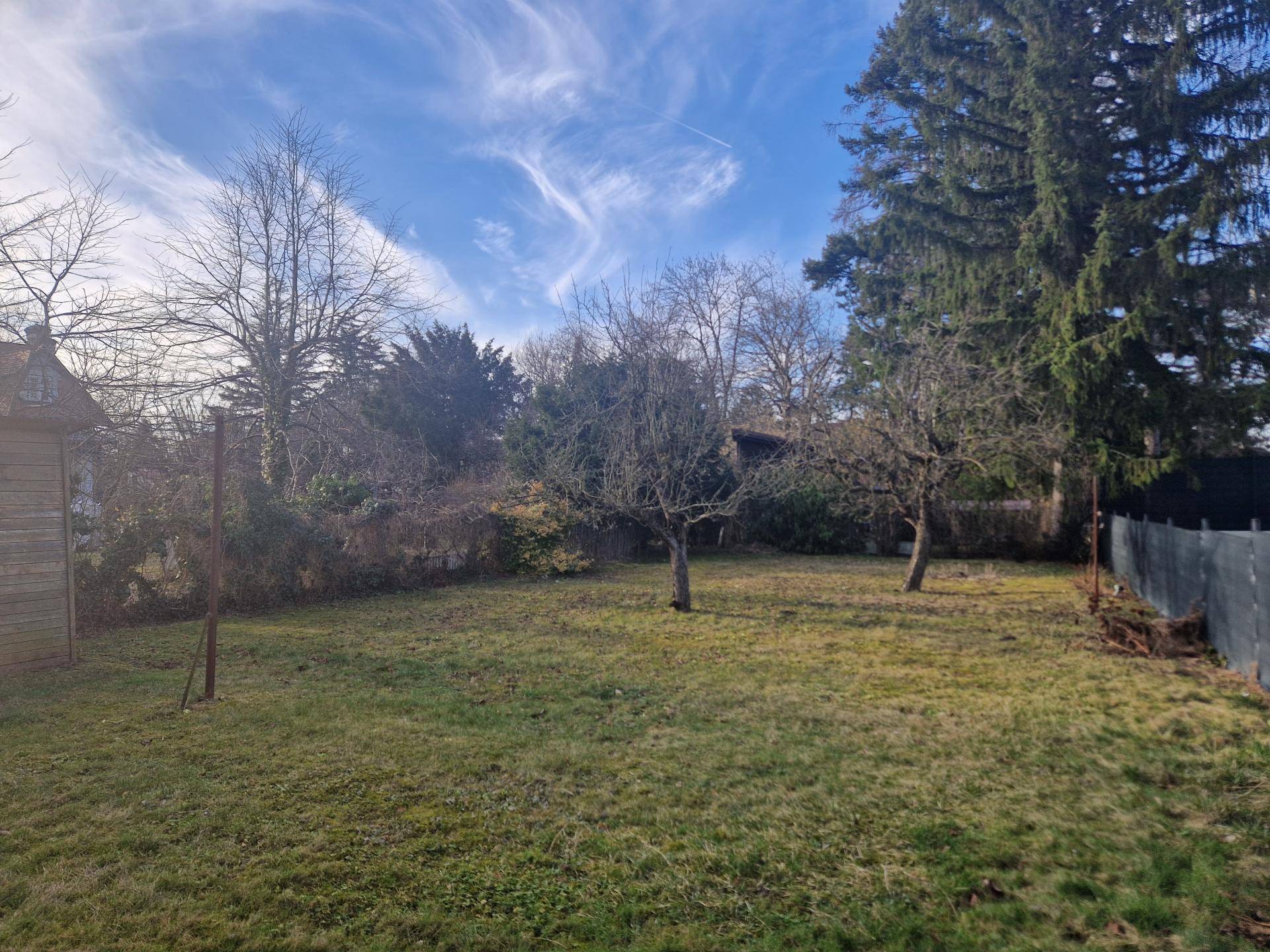 Großer, gepflegter Gartenbereich mit Rasenfläche und Obstbäumen im Winterzustand.