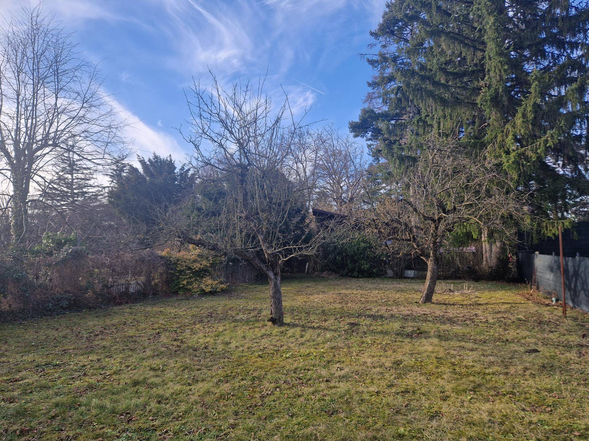 Weitläufiger Garten mit kahlen Bäumen und Rasenfläche unter blauem Himmel.