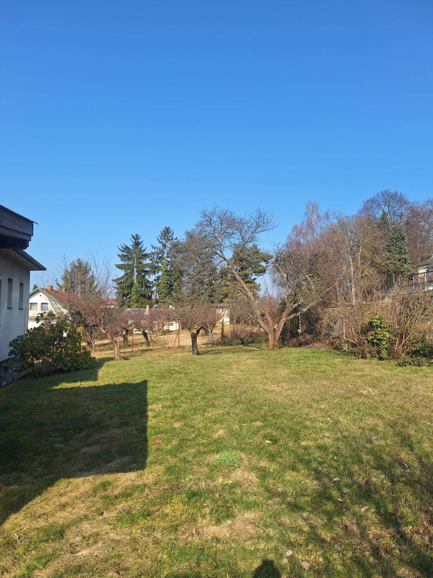 Großer, sonniger Garten mit Rasenfläche und mehreren Bäumen, ideal für Erholung im Freien.