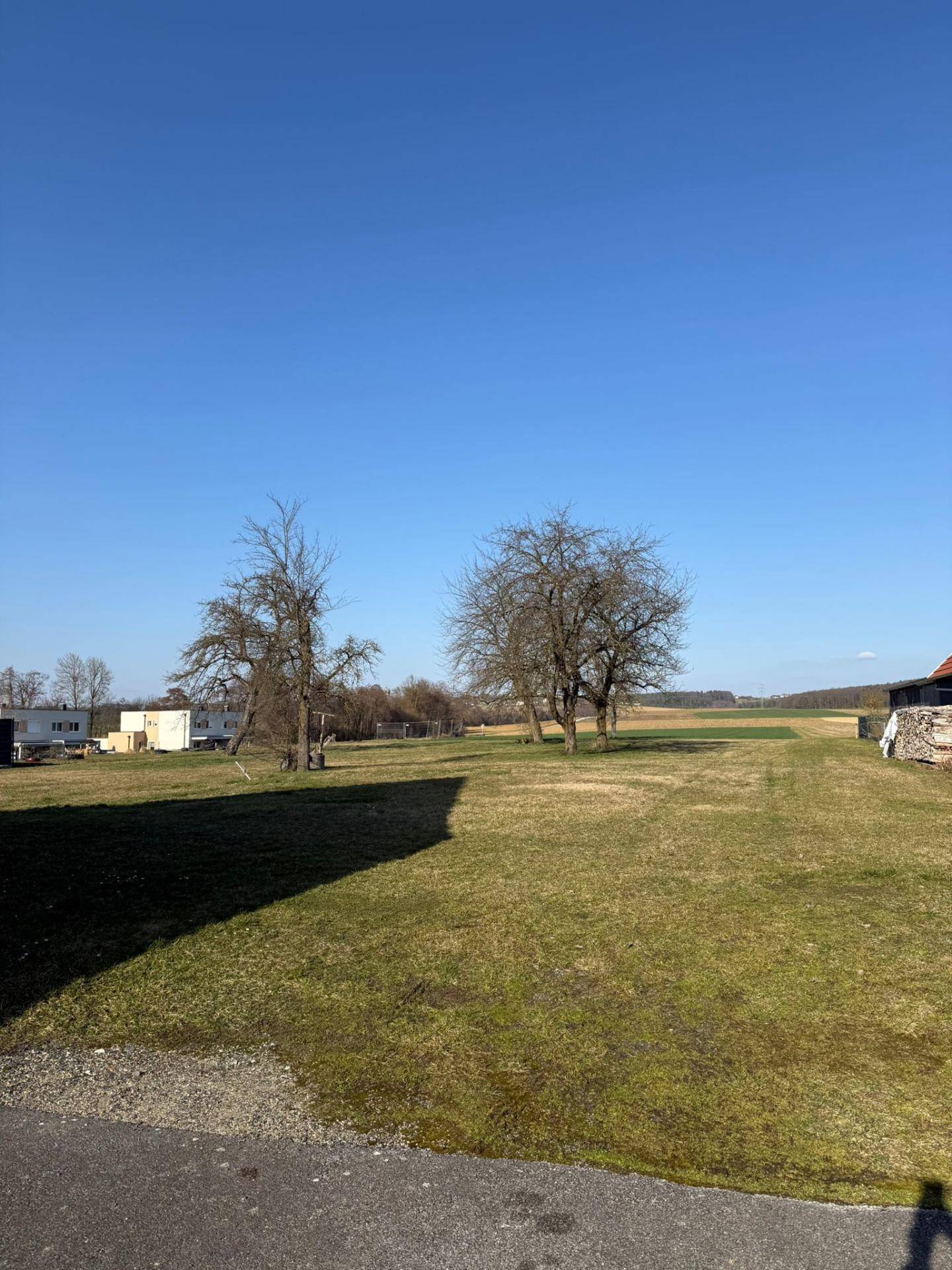 Weitläufige grüne Landschaft mit Bäumen unter klarem blauem Himmel, ländliche Umgebung.