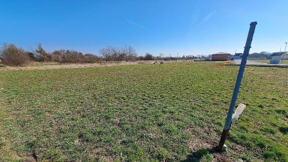 Unverbautes, grünes Grundstück mit einem Holzpfahl im Vordergrund und Bäumen am Horizont.