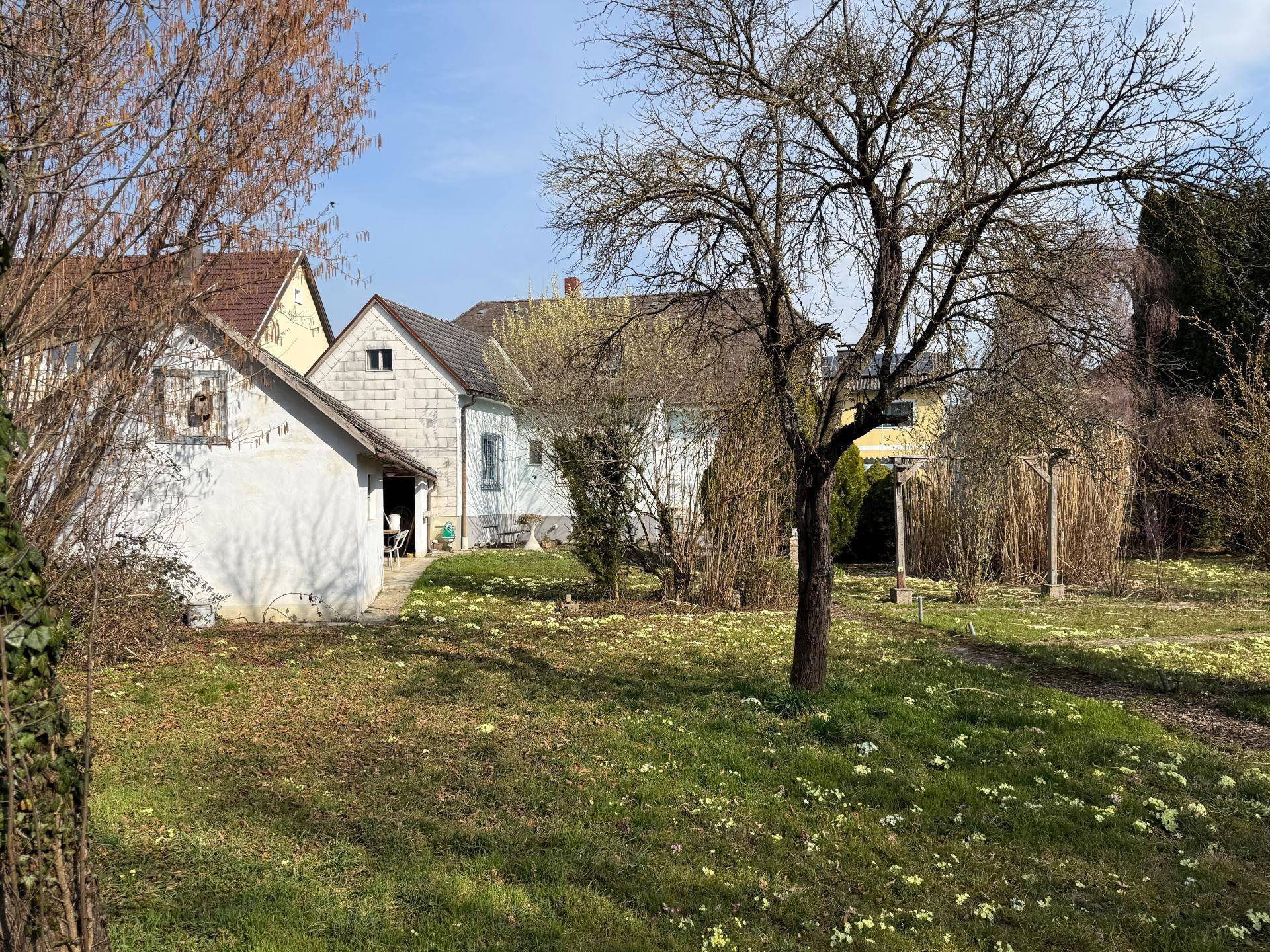 Weitläufiger Gartenbereich mit altem Baumbestand und blühenden Blumen im Frühling.