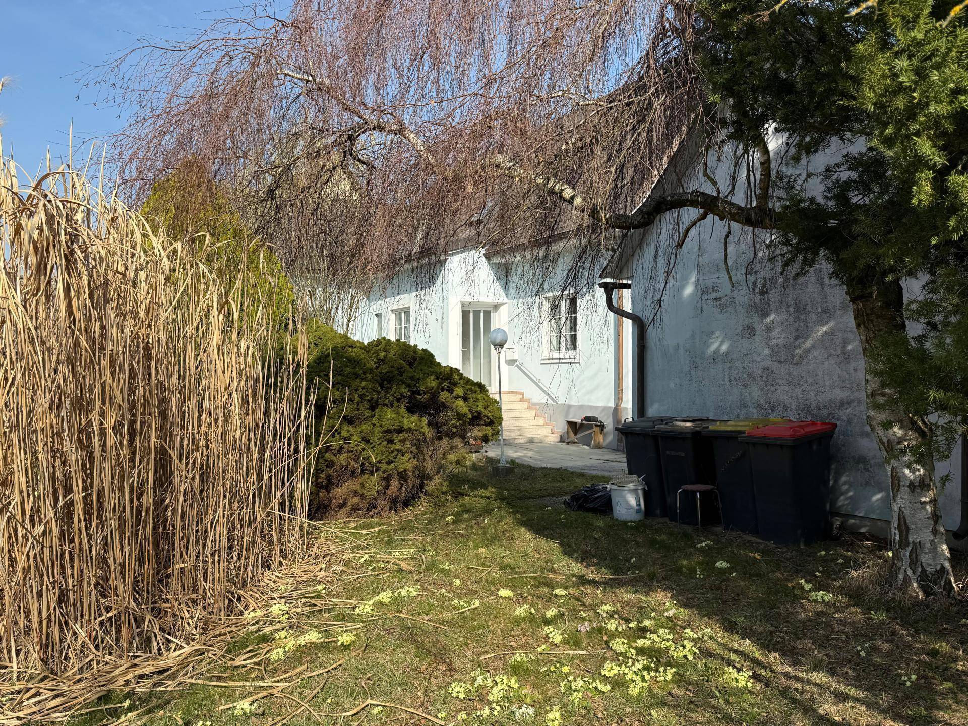 Seitenansicht des Hauses mit Gartenbereich, hohen Gräsern und Mülltonnen im Freien.