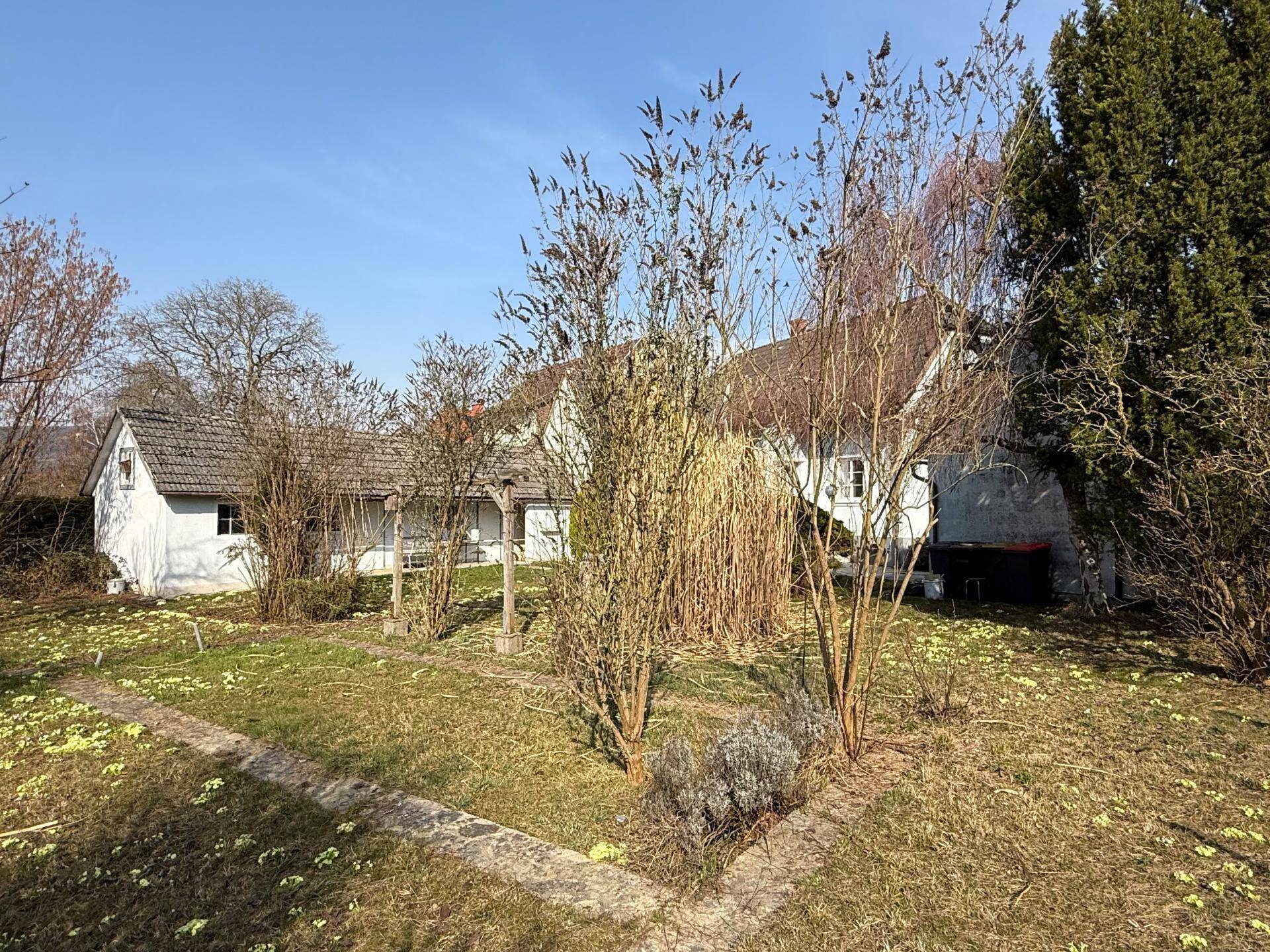 Gartenansicht mit verschiedenen Pflanzen, Bäumen und dem Wohnhaus im Hintergrund.