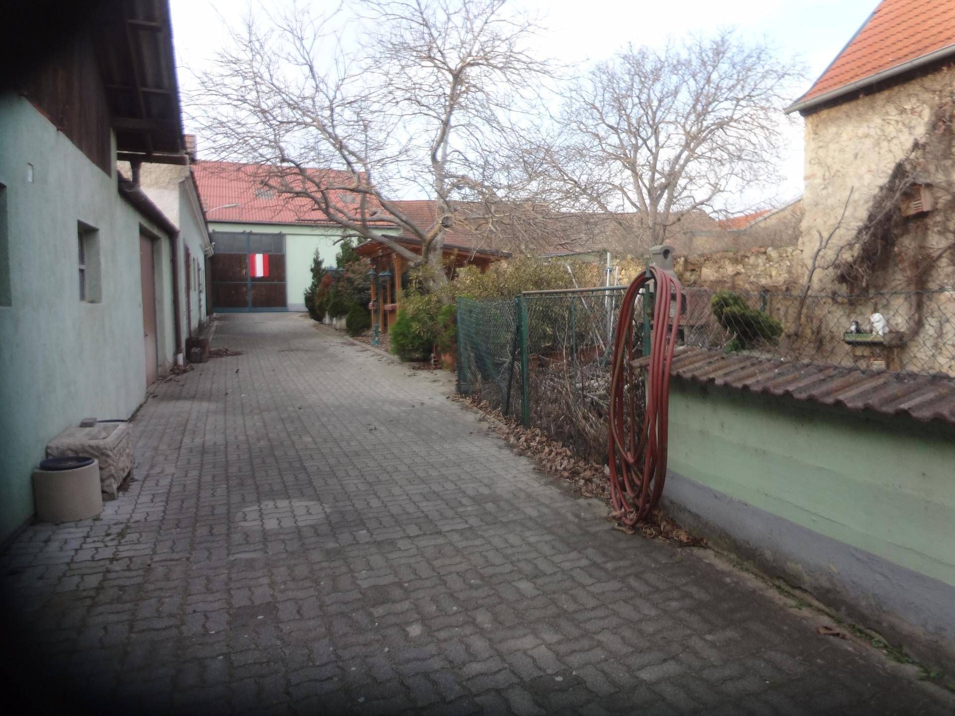 Gepflasterter Hofbereich zwischen Gebäuden mit kahlen Bäumen und einer alten Mauer.